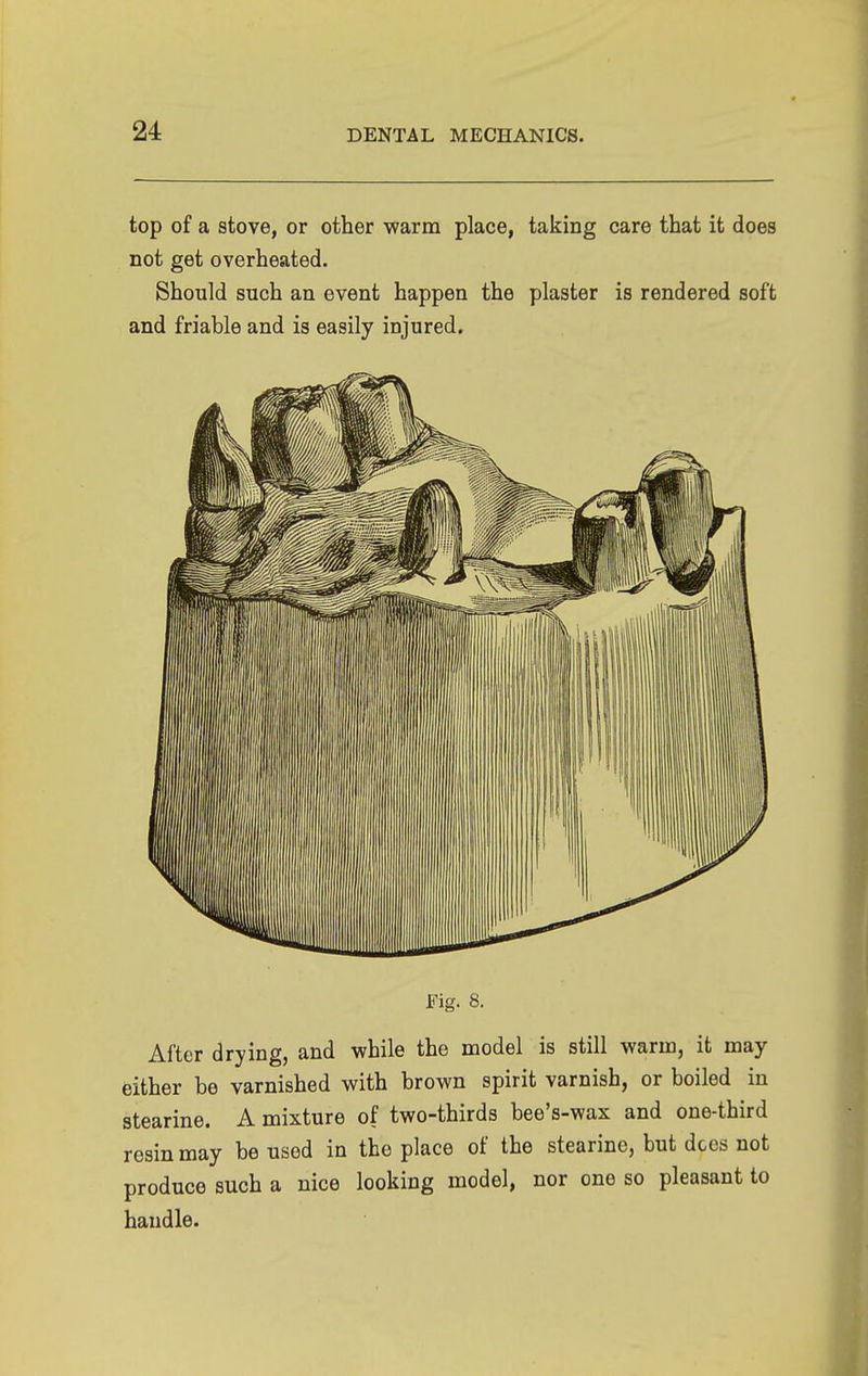 top of a stove, or other •warm place, taking care that it does not get overheated. Should such an event happen the plaster is rendered soft and friable and is easily injured. Fig. 8. After drying, and while the model is still warm, it may either be varnished with brown spirit varnish, or boiled in stearine. A mixture of two-thirds bee's-wax and one-third resin may be used in the place of the stearine, but decs not produce such a nice looking model, nor one so pleasant to handle.