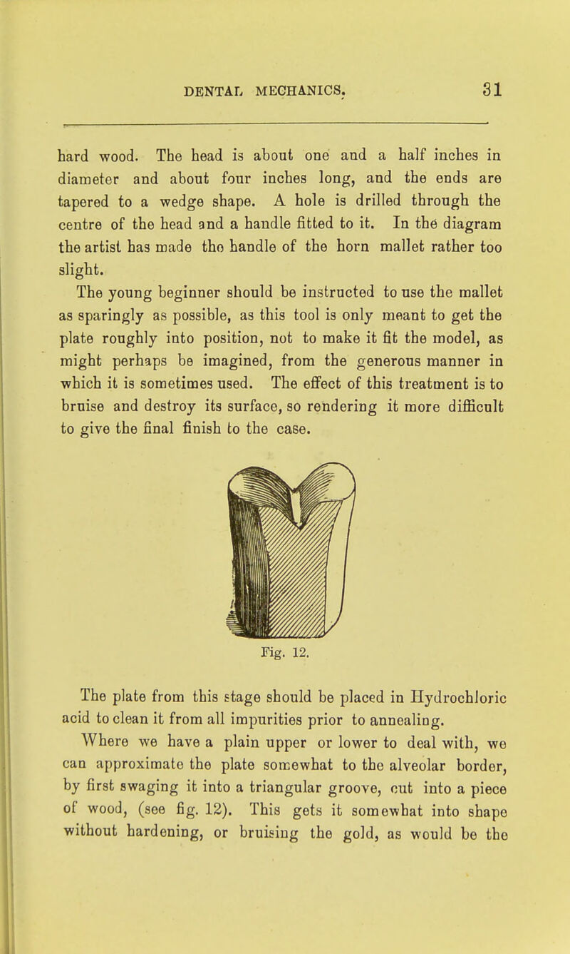 hard wood. The head is about one and a half inches in diameter and about four inches long, and the ends are tapered to a wedge shape. A hole is drilled through the centre of the head and a handle fitted to it. In th6 diagram the artist has made the handle of the horn mallet rather too slight. The young beginner should be instructed to use the mallet as sparingly as possible, as this tool is only meant to get the plate roughly into position, not to make it fit the model, as might perhaps be imagined, from the generous manner in which it is sometimes used. The effect of this treatment is to bruise and destroy its surface, so rendering it more difficult to give the final finish to the case. Fig. 12. The plate from this stage should be placed in Hydrochloric acid to clean it from all impurities prior to annealing. Where we have a plain upper or lower to deal with, wo can approximate the plate somewhat to the alveolar border, by first swaging it into a triangular groove, out into a piece of wood, (see fig. 12). This gets it somewhat into shape without hardening, or bruising the gold, as would be the