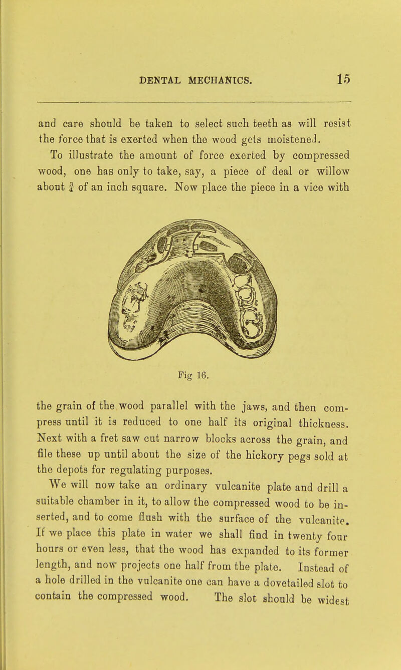 and care should be taken to select such teeth as will resist the t'orce that is exerted when the wood gels moistened. To illustrate the amount of force exerted by compressed wood, one has only to take, say, a piece of deal or willow about f of an inch square. Now place the piece in a vice with Fig 16. the grain of the wood parallel with the jaws, and then com- press until it is reduced to one half its original thickness. Next with a fret saw cut narrow blocks across the grain, and file these up until about the si25e of the hickory pegs sold at the depots for regulating purposes. We will now take an ordinary vulcanite plate and drill a suitable chamber in it, to allow the compressed wood to be in- serted, and to come flush with the surface of the vulcanite. If we place this plate in water we shall find in twenty four hours or even less, that the wood has expanded to its former length, and now projects one half from the plate. Instead of a hole drilled in the vulcanite one can have a dovetailed slot to contain the compressed wood. The slot should be widest