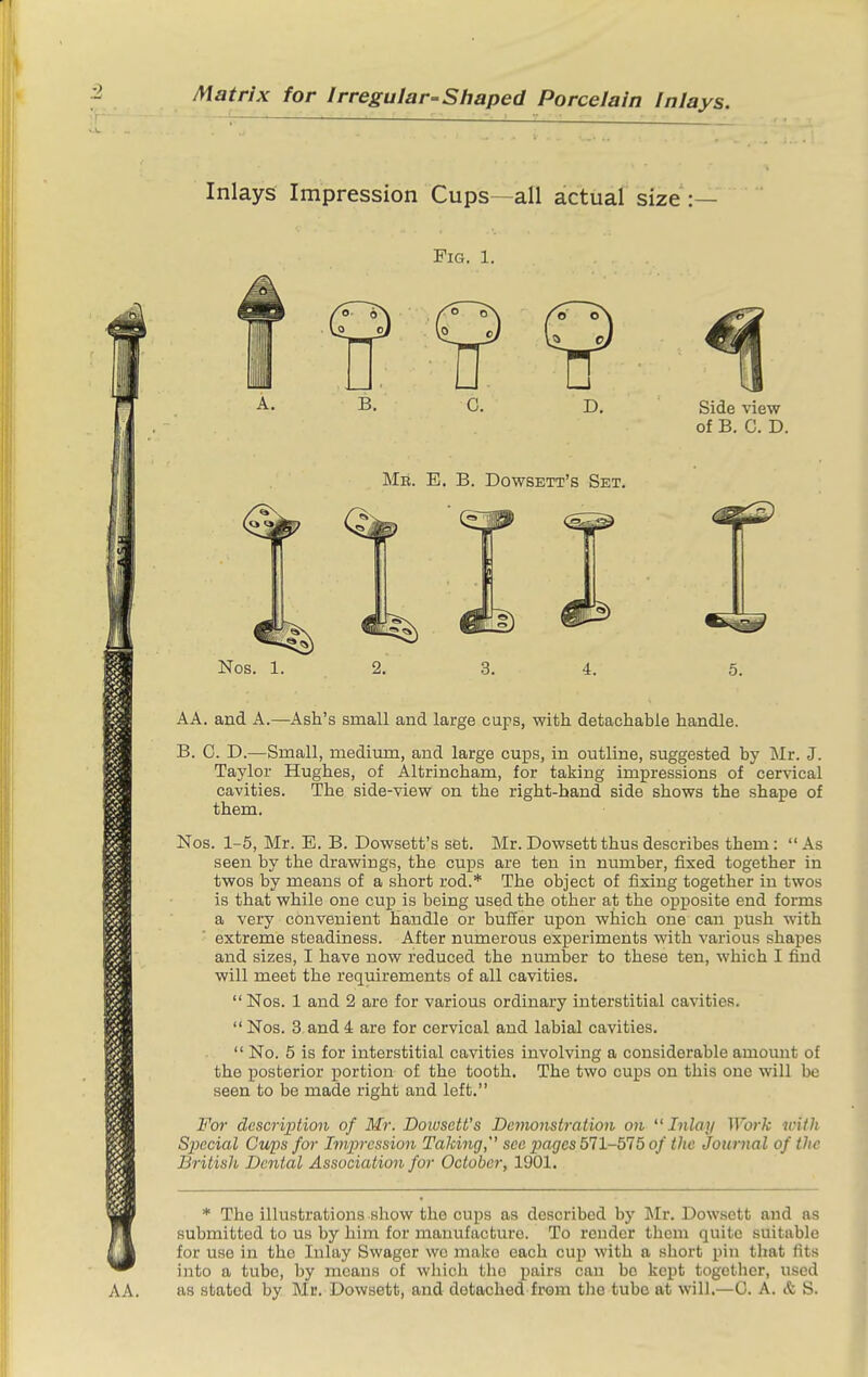 Inlays Impression Cups -all actual size :— Fig. 1. A. B. C. D. Side view of B. C. D. Mr. E. B. Dowsett's Set. AA. and A.—Ash's small and large cups, with detachable handle. B. C. D.—Small, medium, and large cups, in outline, suggested by Mr. J. Taylor Hughes, of Altrincham, for taking impressions of cervical cavities. The side-view on the right-hand side shows the shape of them. Nos. 1-5, Mr. E. B. Dowsett's set. Mr. Dowsett thus describes them: As seen by the drawings, the cups are ten in number, fixed together in twos by means of a short rod. The object of fixing together in twos is that while one cup is being used the other at the opposite end forms a very convenient handle or buffer upon which one can push with extreme steadiness. After numerous experiments with various shapes and sizes, I have now reduced the number to these ten, which I find will meet the requirements of all cavities.  Nos. 1 and 2 are for various ordinary interstitial cavities.  Nos. 3 and 4 are for cervical and labial cavities.  No. 5 is for interstitial cavities involving a considerable amount of the posterior portion of the tooth. The two cups on this one will be seen to be made right and left. For description of Mr. Doiusett's Demonstration on  Inlay Work icHh Special Gups for Impression Taking, see pages 571-575 of the Journal of the British Dental Association for October, 1901. '* The illustrations show the cups as described by Mr. Dow.sett and as submitted to us by him for manufacture. To render them quite suitable for use in the Inlay Swager wo make each cup with a short pin that fits into a tube, by means of which the pairs can bo kept together, used as stated by Me. Dowsett, and detached from the tube at will.—C. A. & S.