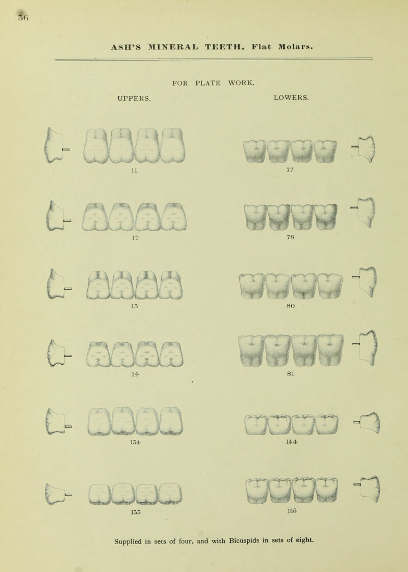 56 ASH'S MINERAL TEETH, Flat Molars. FOR PLATE WORK. UPPERS. LOWERS.