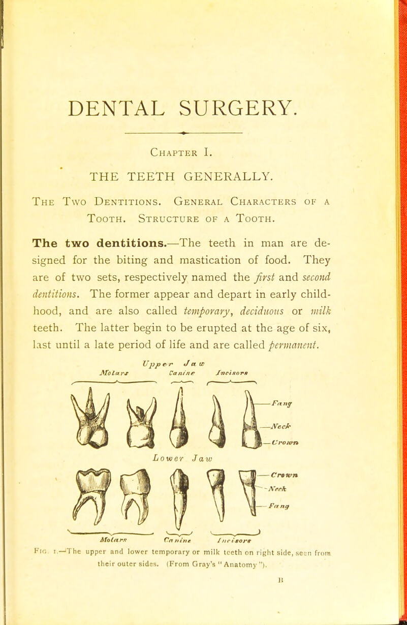 DENTAL SURGERY. Chapter I. THE TEETH GENERALLY. The Two Dentitions. General Characters of a Tooth. Structure of a Tooth. The two dentitions.—The teeth in man are de- signed for the biting and mastication of food. They are of two sets, respectively named the first and second dentitions. The former appear and depart in early child- hood, and are also called temporary, deciduous or milk teeth. The latter begin to be erupted at the age of six, last until a late period of life and are called permanent. Vppe r J it IB AfoCftrx Cartine Jtirisor* P'G i—The upper and lower temporary or milk teeth on right side, seen from their outer sides. (From Gray's  Anatomy ). B
