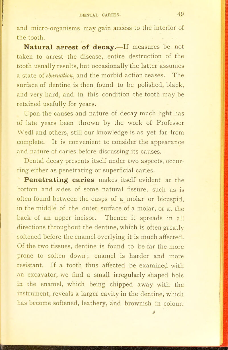 and micro-organisms may gain access to the interior of the tooth. Natural arrest of decay.—If measures be not taken to arrest the disease, entire destruction of the tooth usually results, but occasionally the latter assumes a state of eburmtion, and the morbid action ceases. The surface of dentine is then found to be polished, black, and very hard, and in this condition the tooth may be retained usefully for years. Upon the causes and nature of decay much light has of late years been thrown by the work of Professor Wedl and others, still our knowledge is as yet far from complete. It is convenient to consider the appearance and nature of caries before discussing its causes. Dental decay presents itself under two aspects, occur- ring either as penetrating or superficial caries. Penetrating caries makes itself evident at the bottom and sides of some natural fissure, such as is often found between the cusps of a molar or bicuspid, in the middle of the outer surface of a molar, or at the back of an upper incisor. Thence it spreads in all directions throughout the dentine, which is often greatly softened before the enamel overlying it is much affected. Of the two tissues, dentine is found to be far the more prone to soften down ; enamel is harder and more resistant. If a tooth thus affected be examined with an excavator, we find a small irregularly shaped hole in the enamel, which being chipped away with the instrument, reveals a larger cavity in the dentine, which has become softened, leathery, and brownish in colour.