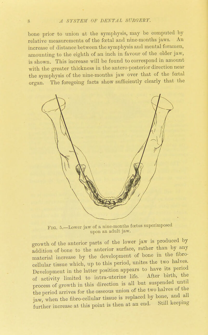 bone prior to union at the symphysis, may be computed by relative measurements of the fcetal and nine-months jaws. An increase of distance between the symphysis aud mental foramen, amounting to the eighth of an inch in favour of the older jaw, is shown. This increase will be found to correspond in amount with the greater thickness in the anteroposterior direction near the symphysis of the nine-months jaw over that of the fcetal organ. The foregoing facts show sufficiently clearly that the Fig. 5.—Lower jaw of a nine-months foetus superimposed upon an adult jaw. growth of the anterior parts of the lower jaw is produced by addition of bone to the anterior surface, rather than by any material increase by the development of bone m the fibro- cellular tissue which, up to this period, unites the two halves Development in the latter position appears to have its period of activity limited to intra-uterine life. After birth, the process of growth in this direction is all but suspended until the period arrives for the osseous union of the two halves of the iaw when the fibre-cellular tissue is replaced by bone and all further increase at this point is then at an end. Still keeping