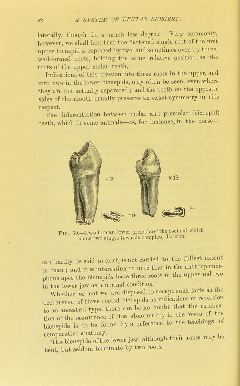 laterally, though in a much less degree. Very commonly, however, we shall find that the flattened single root of the first upper bicuspid is replaced by two, and sometimes even by three, well-formed roots, holding the same relative position as the roots of the upper molar teeth. Indications of this division into three roots in the upper, and into two in the lower bicuspids, may often be seen, even where they are not actually separated ; and the teeth on the opposite sides of the mouth usually preserve an exact symmetry in this respect. The differentiation between molar and premolar (bicuspid) teeth, which in some animals—as, for instance, in the horse— Fig. 50.—Two human lower premolars/the roots of which show two stages towards complete division. can hardly be said to exist, is not carried to the fullest extent in man ; and it is interesting to note that in the anthropomor- phous apes the bicuspids have three roots in the upper and two in the lower jaw as a normal condition. Whether or not we are disposed to accept such facts as the occurrence of three-rooted bicuspids as indications of reversion to an ancestral type, there can be no doubt that the explana- tion of the occurrence of this abnormality in the roots of the bicuspids is to be found by a reference to the teachings of comparative anatomy. . , The-bicuspids of the lower jaw, although their roots may be bent, but seldom terminate by two roots.