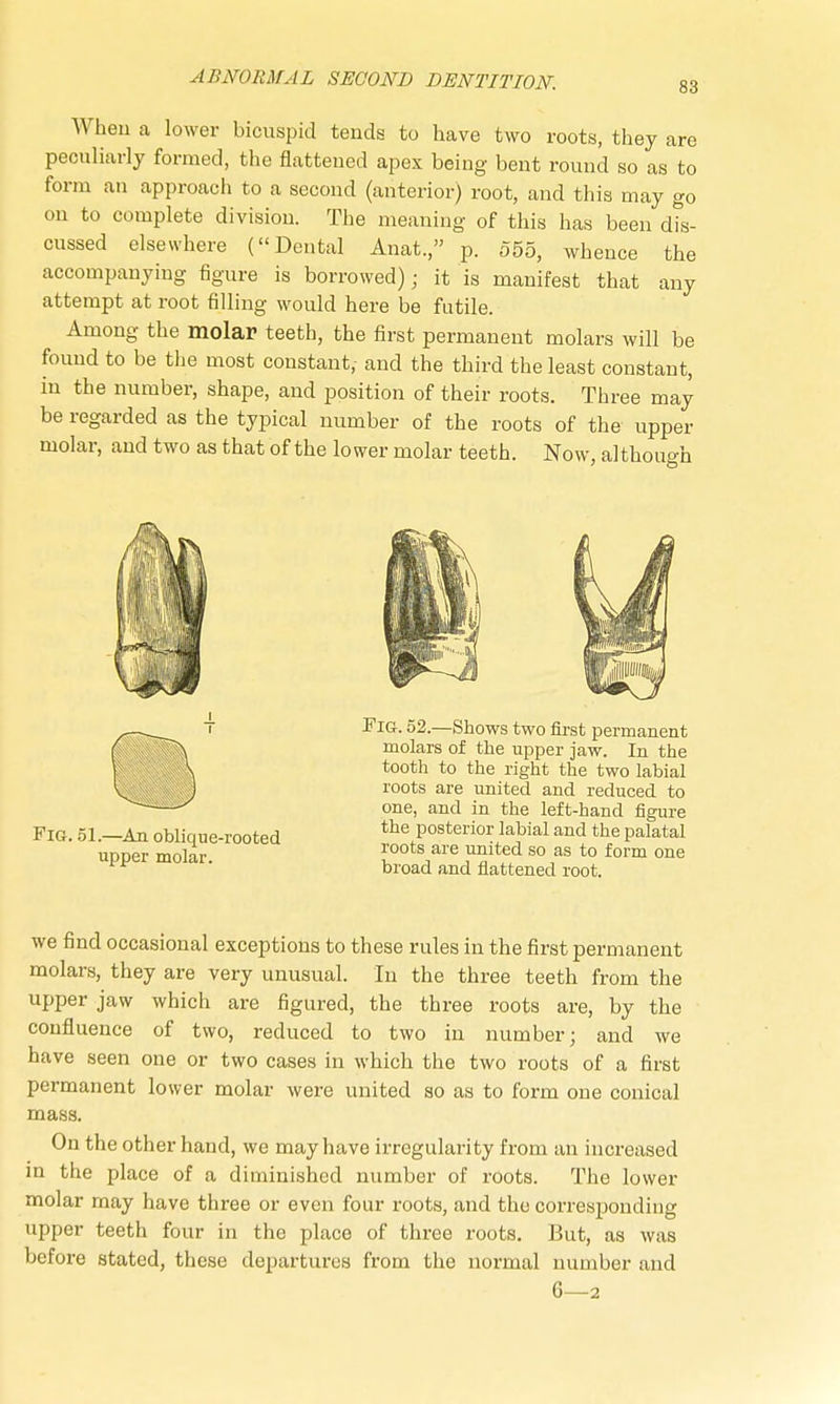 88 When a lower bicuspid tends to have two roots, they are peculiarly formed, the flattened apex being bent round so as to form an approach to a second (anterior) root, and this may go on to complete division. The meaning of this has been dis- cussed elsewhere (Dental Anat., p. 555, whence the accompanying figure is borrowed); it is manifest that any attempt at root filling would here be futile. Among the molar teeth, the first permanent molars will be found to be the most constant, and the third the least constant, in the number, shape, and position of their roots. Three may be regarded as the typical number of the roots of the upper molar, and two as that of the lower molar teeth. Now, although Fig. 51.—An oblique-rooted upper molar. FlG. 52.—Shows two first permanent molars of the upper jaw. In the tooth to the right the two labial roots are united and reduced to one, and in the left-hand figure the posterior labial and the palatal roots are united so as to form one broad and flattened root. we find occasional exceptions to these rules in the first permanent molars, they are very unusual. In the three teeth from the upper jaw which are figured, the three roots are, by the confluence of two, reduced to two in number; and we have seen one or two cases in which the two roots of a first permanent lower molar were united so as to form one conical mass. On the other hand, we may have irregularity from an increased in the place of a diminished number of roots. The lower molar may have three or even four roots, and the corresponding upper teeth four in the place of three roots. But, as was before stated, these departures from the normal number and 6—2