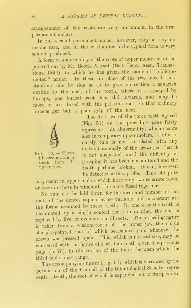 arrangement of the roots are very uncommon in the first permanent molars. In the second permanent molar, however, they are by no means rare, aud in the wisdom-teeth the typical form is very seldom produced. A form of abnormality of the roots of upper molars has been pointed out by Mr. Booth Pearsall (Brit. Dent. Assn. Transac- tions, 1890), to which he has given the name of oblique- rooted  molar. In these, in place of the two buccal roots standing side by side so as to give on section a squarish outline to the neck of the tooth, where it is grasped by forceps, one buccal root has slid inwards, and may be more or less fused with the palatine root, so that ordinary forceps get but a poor grip of the neck. The first two of the three teeth figured (Fig. 51) on the preceding page fairly represents this abnormality, which occurs also in temporary upper molars. Unfortu- nately this is not correlated with any distinct anomaly of the crown, so that it Fig. 53. —Shows, . t suspected until the difficulty in life-size, a wisdom- r , A tooth from the grasping it has been encountered and the upper jaw. tooth perhaps broken. It can, however, be detected with a probe. This obliquity may occur in upper molars which have only two separate roots, or even in those in which all three are fused together. No rule can be laid down for the form and number of the roots of the dentes sapientite, so variable and inconstant are the forms assumed by these teeth. In one case the tooth is terminated by a single conical root j in another, the one is replaced by five, or even six, small roots. The preceding figure is taken from a wisdom-tooth of the upper jaw, the single sharply-pointed root of which occasioned pain whenever the crown was Vessed uPon- This' which is natural size' may be compared with the figure of a wisdom-tooth given in a previous page (p. 78), in illustration of the limits between which the third molar may range. The accompanying figure (Fig. 54), which is borrowed by the permission of the Council of the Odontological Society, repre- sents a tooth, the root of which is expanded out at its apex into