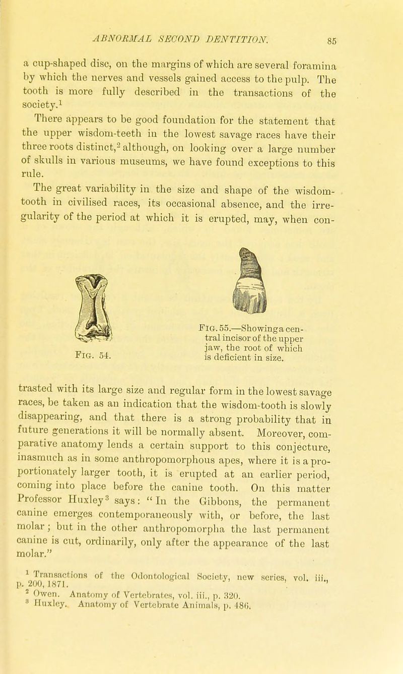 a cup-shaped disc, on the margins of which are several foramina by which the nerves and vessels gained access to the pulp. The tooth is more fully described in the transactions of the society.1 There appears to be good foundation for the statement that the upper wisdom-teeth iu the lowest savage races have their three roots distinct,2 although, on looking over a large number of skulls in various museums, we have found exceptions to this rule. The great variability in the size and shape of the wisdom- tooth in civilised races, its occasional absence, and the irre- gularity of the period at which it is erupted, may, when con- Fig. 54. Fig. 55.—Showinga cen- tral incisor of the upper jaw, the root of which is deficient in size. trasted with its large size and regular form in the lowest savage races, be taken as an indication that the wisdom-tooth is slowly disappearing, and that there is a strong probability that in future generations it will be normally absent. Moreover, com- parative anatomy lends a certain support to this conjecture, inasmuch as in some anthropomorphous apes, where it is a pro- portionately larger tooth, it is erupted at an earlier period, coming into place before the canine tooth. On this matter Professor Huxley3 says: In the Gibbons, the permanent canine emerges contemporaneously with, or before, the last molar; but in the other anthropomorpha the last permanent canine is cut, ordinarily, only after the appearance of the last molar. 1 Transactions of the Odontological Society, new series, vol. iii p. 200, 1871. . ' 2 Owen. Anatomy of Vertebrates, vol. iii., p. :{2o. Huxley. Anatomy of Vertebrate Animals, p. 486.