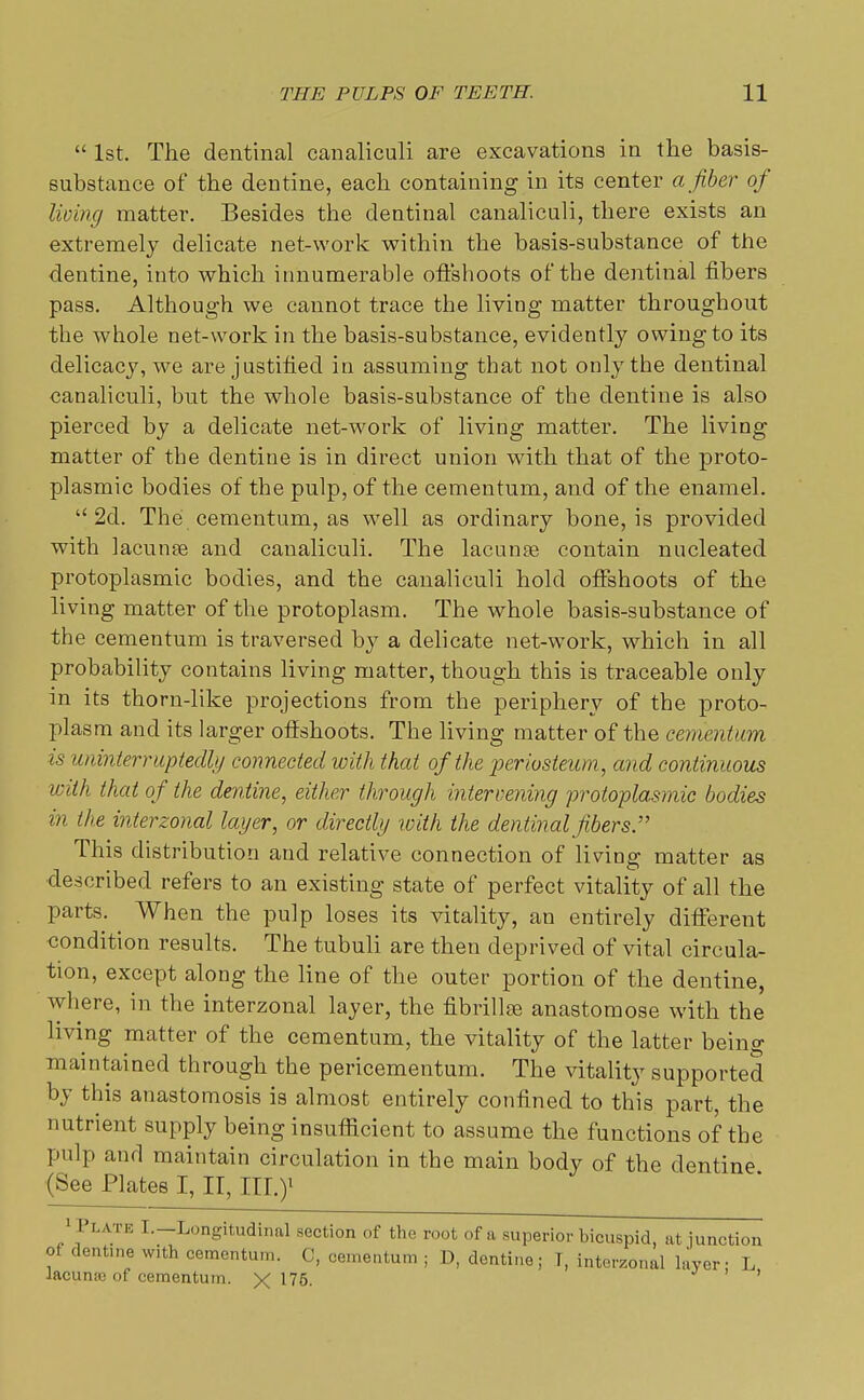  1st. The dentinal canaliculi are excavations in the basis- substance of the dentine, each containing in its center a fiber of living matter. Besides the dentinal canaliculi, there exists an extremely delicate net-work within the basis-substance of the dentine, into which innumerable offshoots of the dentinal fibers pass. Although we cannot trace the living matter throughout the whole net-work in the basis-substance, evidently owing to its delicacy, we are justified in assuming that not only the dentinal canaliculi, but the whole basis-substance of the dentine is also pierced by a delicate net-work of living matter. The living matter of the dentine is in direct union with that of the proto- plasmic bodies of the pulp, of the cementum, and of the enamel. 2d. The cementum, as well as ordinary bone, is provided with lacunre and canaliculi. The lacunae contain nucleated protoplasmic bodies, and the canaliculi hold offshoots of the living matter of the protoplasm. The whole basis-substance of the cementum is traversed by a delicate net-work, which in all probability contains living matter, though this is traceable only in its thorn-like projections from the periphery of the proto- plasm and its larger offshoots. The living matter of the cementum is uninterruptedly connected with that of the periosteum, and continuous with that of the dentine, either through intervening protoplasmic bodies in the interzonal layer, or directly with the dentinal fibers:7 This distribution and relative connection of living matter as described refers to an existing state of perfect vitality of all the parts. When the pulp loses its vitality, an entirely different condition results. The tubuli are then deprived of vital circula- tion, except along the line of the outer portion of the dentine, where, in the interzonal layer, the fibrillae anastomose with the living matter of the cementum, the vitality of the latter being maintained through the pericementum. The vitality supported by this anastomosis is almost entirely confined to this part, the nutrient supply being insufficient to assume the functions of the pulp and maintain circulation in the main body of the dentine (See Plates I, II, IH.y .' !'L AT: I- Longitudinal section of the root of a superior bicuspid, at junction of dentine with cementum. C, cementum ; D, dentine; T, interzonal layer; L lacunie of cementum. X 175.