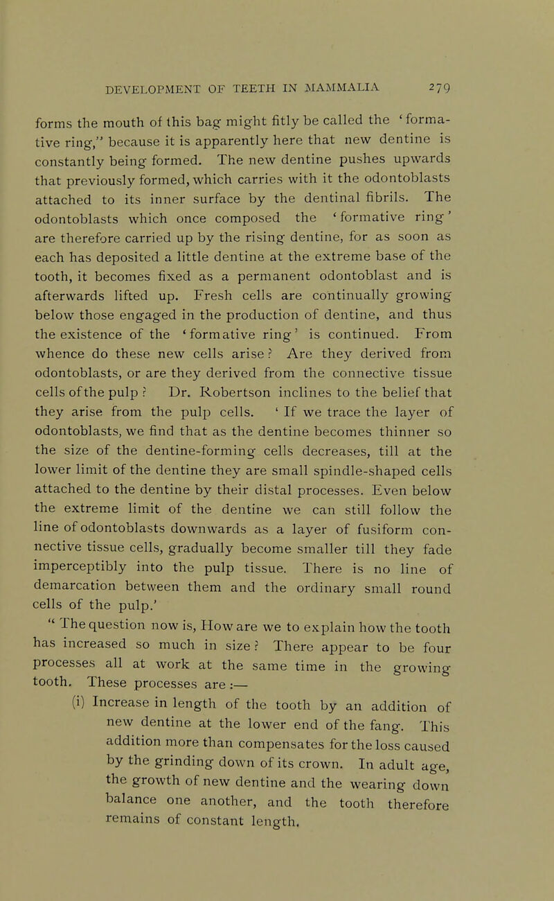 forms the mouth of this bag might fitly be called the ' forma- tive ring, because it is apparently here that new dentine is constantly being formed. The new dentine pushes upwards that previously formed, which carries with it the odontoblasts attached to its inner surface by the dentinal fibrils. The odontoblasts which once composed the 'formative ring' are therefore carried up by the rising dentine, for as soon as each has deposited a little dentine at the extreme base of the tooth, it becomes fixed as a permanent odontoblast and is afterwards lifted up. Fresh cells are continually growing below those engaged in the production of dentine, and thus the existence of the 'formative ring' is continued. From whence do these new cells arise ? Are they derived from odontoblasts, or are they derived from the connective tissue cells of the pulp ? Dr. Robertson inclines to the belief that they arise from the pulp cells. ' If we trace the layer of odontoblasts, we find that as the dentine becomes thinner so the size of the dentine-forming cells decreases, till at the lower limit of the dentine they are small spindle-shaped cells attached to the dentine by their distal processes. Even below the extreme limit of the dentine we can still follow the line of odontoblasts downwards as a layer of fusiform con- nective tissue cells, gradually become smaller till they fade imperceptibly into the pulp tissue. There is no line of demarcation between them and the ordinary small round cells of the pulp.'  The question now is. How are we to explain how the tooth has increased so much in size? There appear to be four processes all at work at the same time in the growing tooth. These processes are :— (i) Increase in length of the tooth by an addition of new dentine at the lower end of the fang. This addition more than compensates for the loss caused by the grinding down of its crown. In adult age, the growth of new dentine and the wearing down balance one another, and the tooth therefore remains of constant length.