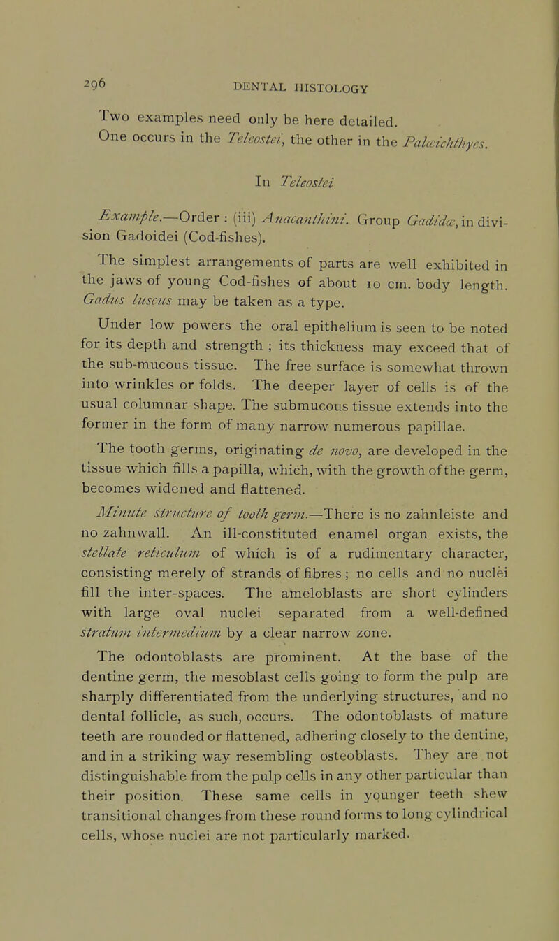 Two examples need only be here detailed. One occurs in the Telcostet, the other in the Pakcichthycs. In Teleostei Exainp/e.—Order '. (iii) Anacanthini. Group Gadid(B;m6:\w\- sion Gadoidei (Cod-fishes). The simplest arrangements of parts are well exhibited in the jaws of young Cod-fishes of about 10 cm. body length. Gadus lusciis may be taken as a type. Under low powers the oral epithelium is seen to be noted for its depth and strength ; its thickness may exceed that of the sub-mucous tissue. The free surface is somewhat thrown into wrinkles or folds. The deeper layer of cells is of the usual columnar shape. The submucous tissue extends into the former in the form of many narrow numerous papillae. The tooth germs, originating de novo, are developed in the tissue which fills a papilla, which, with the growth of the germ, becomes widened and flattened. Minute structure of tooth gerin—There is no zahnleiste and no zahnwall. An ill-constituted enamel organ exists, the stellate reticiilui>i of which is of a rudimentary character, consisting merely of strands of fibres; no cells and no nuclei fill the inter-spaces. The ameloblasts are short cylinders with large oval nuclei separated from a well-defined stratum internicdiurn by a clear narrow zone. The odontoblasts are prominent. At the base of the dentine germ, the mesoblast cells going to form the pulp are sharply differentiated from the underlying structures, and no dental follicle, as such, occurs. The odontoblasts of mature teeth are rounded or flattened, adhering closely to the dentine, and in a striking way resembling osteoblasts. They are not distinguishable from the pulp cells in any other particular than their position. These same cells in younger teeth shew transitional changes from these round forms to long cylindrical cells, whose nuclei are not particularly marked.