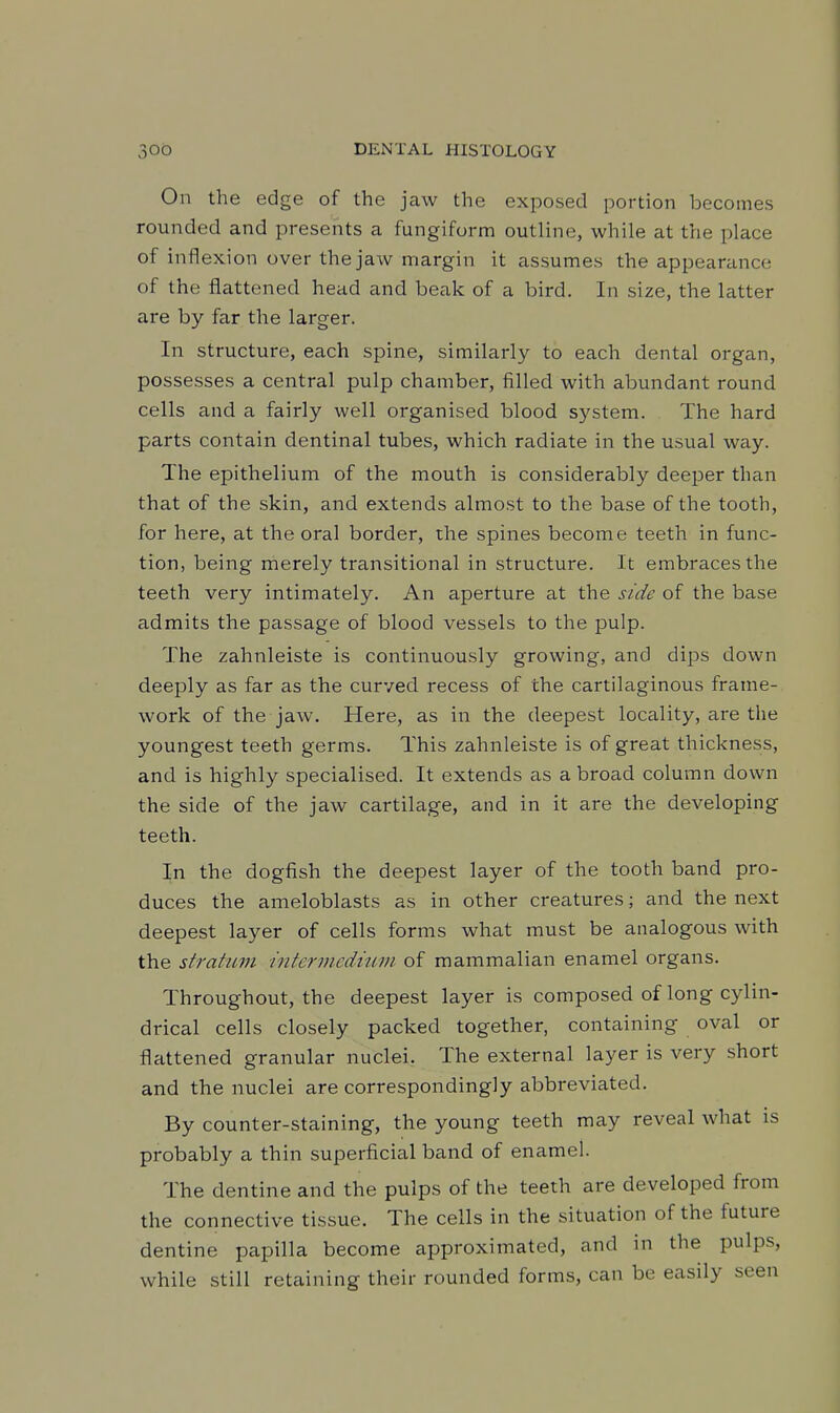 On the edge of the jaw the exposed portion becomes rounded and presents a fungiform outline, while at the place of inflexion over the jaw margin it assumes the appearance of the flattened head and beak of a bird. In size, the latter are by far the larger. In structure, each spine, similarly to each dental organ, possesses a central pulp chamber, filled with abundant round cells and a fairly well organised blood system. The hard parts contain dentinal tubes, which radiate in the usual way. The epithelium of the mouth is considerably deeper than that of the skin, and extends almost to the base of the tooth, for here, at the oral border, the spines become teeth in func- tion, being merely transitional in structure. It embraces the teeth very intimately. An aperture at the side of the base admits the passage of blood vessels to the pulp. The zahnleiste is continuously growing, and dips down deeply as far as the curved recess of the cartilaginous frame- work of the jaw. Here, as in the deepest locality, are the youngest teeth germs. This zahnleiste is of great thickness, and is highly specialised. It extends as a broad column down the side of the jaw cartilage, and in it are the developing teeth. In the dogfish the deepest layer of the tooth band pro- duces the ameloblasts as in other creatures; and the next deepest layer of cells forms what must be analogous with the stratum mtermedium of mammalian enamel organs. Throughout, the deepest layer is composed of long cylin- drical cells closely packed together, containing oval or flattened granular nuclei. The external layer is very short and the nuclei are correspondingly abbreviated. By counter-staining, the young teeth may reveal what is probably a thin superficial band of enamel. The dentine and the pulps of the teeth are developed from the connective tissue. The cells in the situation of the future dentine papilla become approximated, and in the pulps, while still retaining their rounded forms, can be easily seen