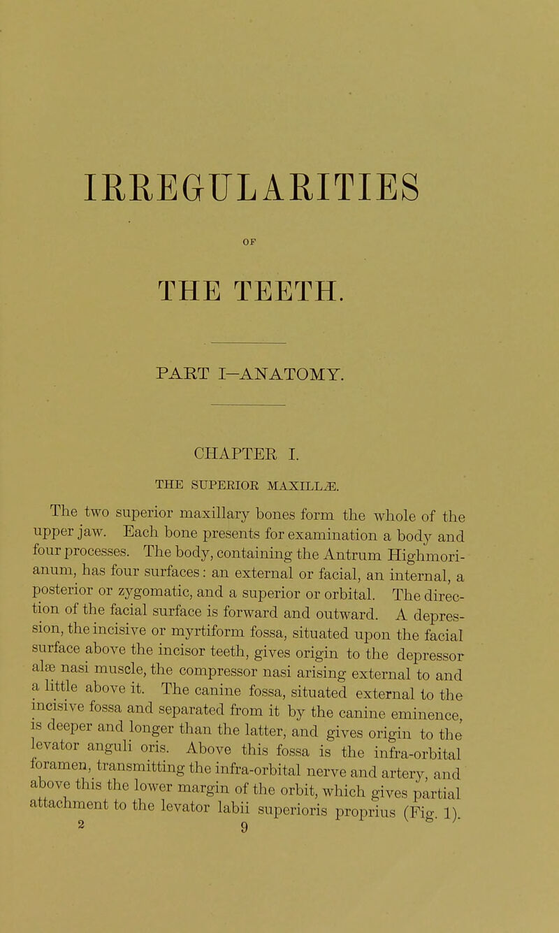 IRREGULARITIES OF THE TEETH. PART I-ANATOMY. CHAPTER I. THE SUPERIOE MAXILLAE. The two superior maxillary bones form the whole of the upper jaw. Each bone presents for examination a body and four processes. The body, containing the Antrum Highmori- anum, has four surfaces: an external or facial, an internal, a posterior or zygomatic, and a superior or orbital. The direc- tion of the facial surface is forward and outward. A depres- sion, the incisive or myrtiform fossa, situated upon the facial surface above the incisor teeth, gives origin to the depressor alse nasi muscle, the compressor nasi arising external to and a little above it. The canine fossa, situated external to the incisive fossa and separated from it by the canine eminence is deeper and longer than the latter, and gives origin to the levator anguli oris. Above this fossa is the infra-orbital foramen, transmitting the infra-orbital nerve and artery, and above this the lower margin of the orbit, which gives partial attachment to the levator labii superioris proprius (Fig. 1).