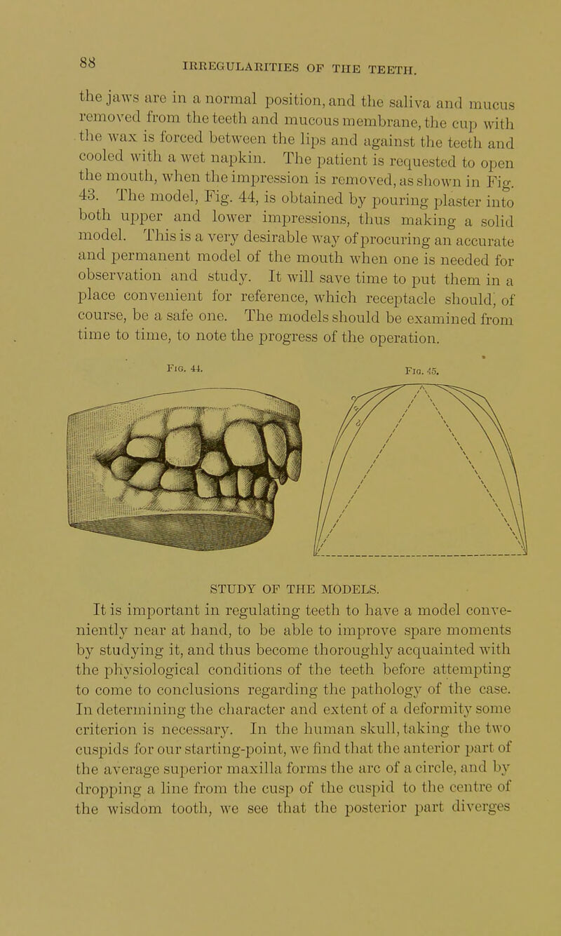 the jaws are in a normal position, and the saliva and mucus removed from theteethand mucous membrane, the cup with the wax is forced between the lips and against the teeth and cooled with a wet napkin. The patient is requested to open the mouth, when the impression is removed, as shown in Fig. 43. The model, Fig. 44, is obtained by pouring plaster into both upper and lower impressions, thus making a solid model. This is a very desirable way of procuring an accurj ite and permanent model of the mouth wdien one is needed for observation and study. It will save time to put them in a place convenient for reference, which receptacle should, of course, be a safe one. The models should be examined from time to time, to note the progress of the operation. It is important in regulating teeth to have a model conve- niently near at hand, to be able to improve spare moments by studying it, and thus become thoroughly acquainted with the physiological conditions of the teeth before attempting to come to conclusions regarding the pathology of the case. In determining the character and extent of a deformity some criterion is necessary. In the human skull,taking the two cuspids for our starting-point, w;e find that the anterior part of the average superior maxilla forms the are of a circle, and by dropping a line from the cusp of the cuspid to the centre of the wisdom tooth, we see that the posterior part diverges Fig. 44. Fio. 45. STUDY OF THE MODELS.