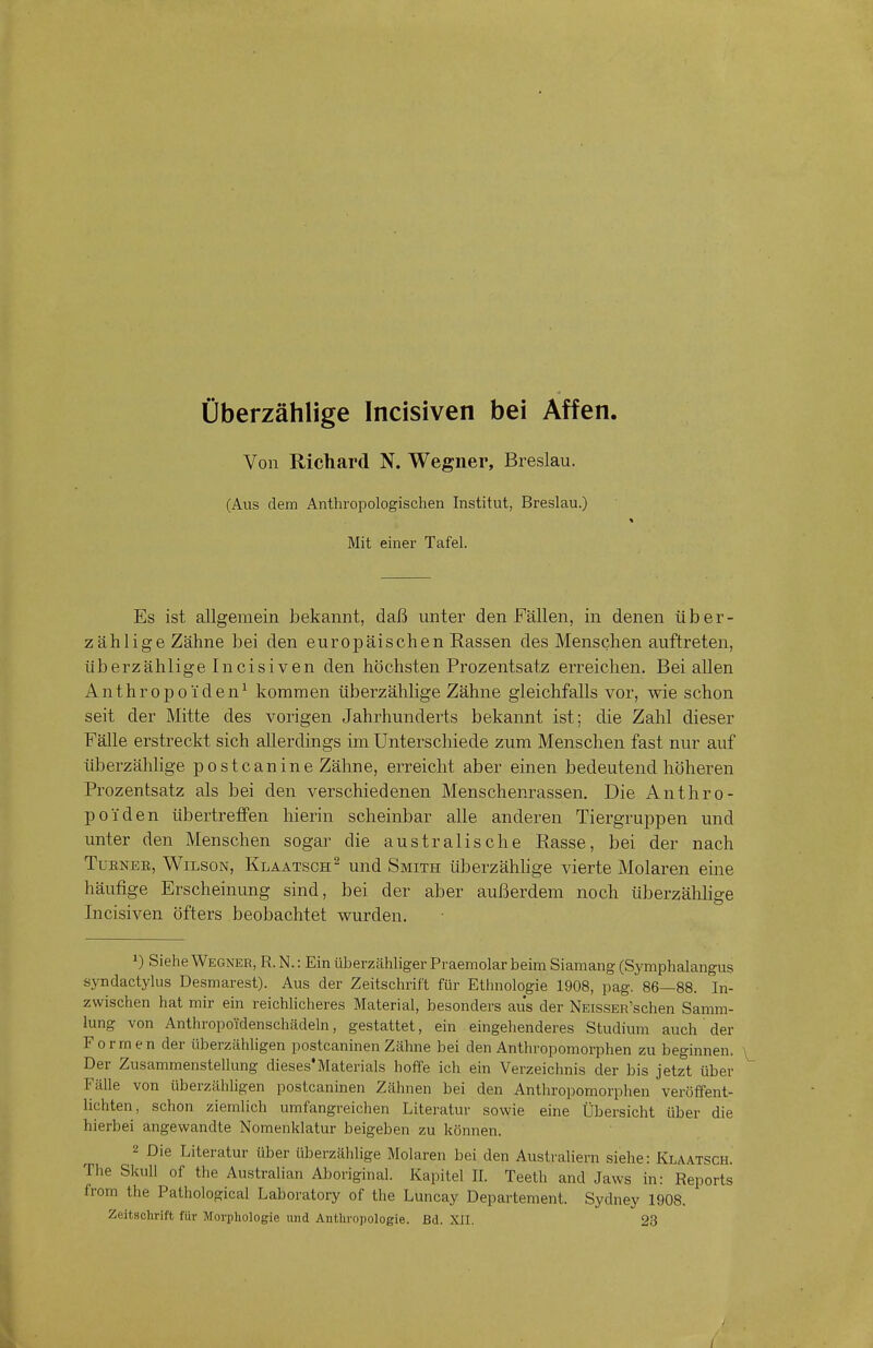 Überzählige Incisiven bei Affen. Von Richard N. Wegner, Breslau. (Aus dem Anthropologischen Institut, Breslau.) Mit einer Tafel. Es ist allgemein bekannt, daß unter den Fällen, in denen über- zählige Zähne bei den europäischen Rassen des Menschen auftreten, überzählige Incisiven den höchsten Prozentsatz erreichen. Bei allen Anthropoiden1 kommen überzählige Zähne gleichfalls vor, wie schon seit der Mitte des vorigen Jahrhunderts bekannt ist; die Zahl dieser Fälle erstreckt sich allerdings im Unterschiede zum Menschen fast nur auf überzählige postcanine Zähne, erreicht aber einen bedeutend höheren Prozentsatz als bei den verschiedenen Menschenrassen. Die Anthro- poiden übertreffen hierin scheinbar alle anderen Tiergruppen und unter den Menschen sogar die australische Rasse, bei der nach Turnee, Wilson, Klaatsch2 und Smith überzählige vierte Molaren eine häufige Erscheinung sind, bei der aber außerdem noch überzählige Incisiven öfters beobachtet wurden. x) Siehe Wegner, R. N.: Ein überzähliger Praemolar beim Siamang (Symphalangus syndactylus Desmarest). Aus der Zeitschrift für Ethnologie 1908, pag. 86—88. In- zwischen hat mir ein reichlicheres Material, besonders aus der NEissEiTschen Samm- lung von Anthropoidenschädeln, gestattet, ein eingehenderes Studium auch der Formen der überzähligen postcaninen Zähne bei den Anthropomorphen zu beginnen. Der Zusammenstellung dieses'Materials hoffe ich ein Verzeichnis der bis jetzt über Fälle von überzähligen postcaninen Zähnen bei den Anthropomorphen veröffent- lichten, schon ziemlich umfangreichen Literatur sowie eine Übersicht über die hierbei angewandte Nomenklatur beigeben zu können. 2 Die Literatur über überzählige Molaren bei den Australiern siehe: Klaatsch. The Skull of the Australian Aborigiiud. Kapitel II. Teeth and Jaws in: Reports from the Pathological Laboratory of the Luncay Departement. Sydney 1908. Zeitschrift für Morphologie und Anthropologie. Bd. XII. 23