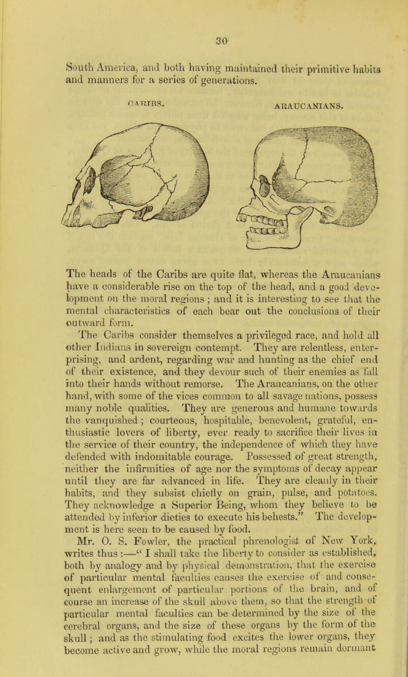 South America, and both having maintained their primitive habits and manners for a series of generations. OAUTBS. ARAUCANIANS. The heads of the Caribs are quite flat, whereas the Araucanians have a considerable rise on the top of the head, and a good deve- lopment on the moral regions ; and it is interesting to see that the mental characteristics of each bear out the conclusions of their outward form. The Caribs consider themselves a privileged race, and hold all other Indians in sovereign contempt. They are relentless, enter- prising, and ardent, regarding war and hunting as the chief end of their existence, and they devour such of their enemies as fall into their hands without remorse. The Araucanians, on the other hand, with some of the vices common to all savage nations, possess many noble qualities. They are generous and humane towards the vanquished ; courteous, hospitable, benevolent, grateful, en- thusiastic lovers of liberty, ever ready to sacrifice their lives in the service of their country, the independence of which they have defended with indomitable courage. Possessed of great strength, neither the infirmities of age nor the symptoms of decay appear until they are far advanced in life. They are cleanly in their habits, and they subsist chiefly on grain, pulse, and potatoes. They acknowledge a Superior Being, whom they believe to be attended by inferior dieties to execute his behests. The develop- ment is here seen to be caused by food. Mr. 0. S. Fowler, the practical phrenologist of New York, writes thus :— I shall take the liberty to consider as established, both by analogy and by physical demonstration, that the exercise of particular mental faculties causes the exercise of and conse- quent enlargement of particular portions of the brain, and of course an increase of the skull above them, so that the strength of particular mental faculties can be determined by the size of the cerebral organs, and the size of these organs by the form of the skull; and as the stimulating food excites the lower organs, they become active and grow, while the moral regions remain dormant