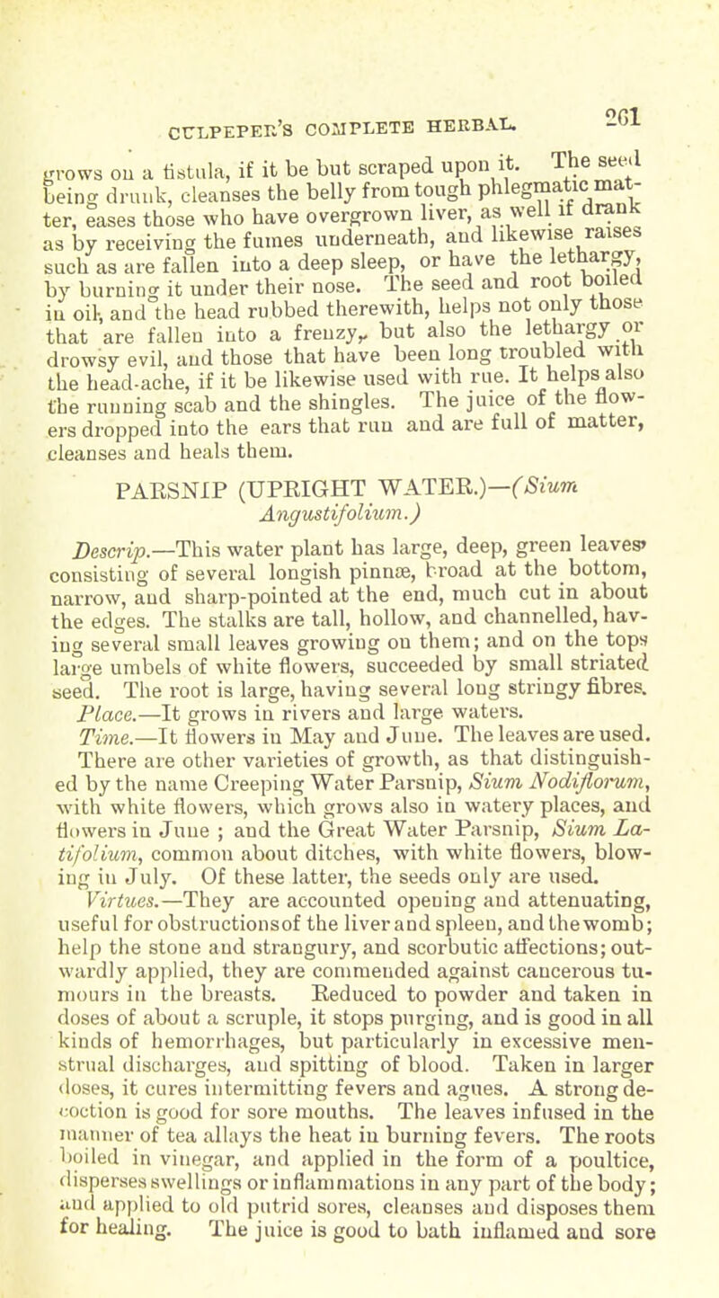 CrLPEPEK's COMPLETE HERB.VU -Gl Kvows ou a tistula, if it be but scraped upon it. The sec^l being druuk, cleanses the belly from tough phlegmatic mat- ter, eases those who have overgrown liver, as well it dranK as by receiving the fumes underneath, and likewise raises such as are fallen into a deep sleep, or have the lethargy, by burning it under their nose. The seed and root boiled in oil-, and the head rubbed therewith, helps not only those that are fallen into a frenzy,, but also the lethargy or drowsy evil, and those that have been long troubled witli the head-ache, if it be likewise used with rue. It helps also the running scab and the shingles. The juice of the flow- ers dropped into the ears that run and are full of matter, cleanses and heals them. PARSNIP (UPEIGHT WATER.)—Sium Angustifolmm.) i)escn>.—This water plant has large, deep, green leaves' consisting of several longish pinnse, broad at the bottom, narrow, and sharp-pointed at the end, much cut in about the edges. The stalks are tall, hollow, and channelled, hav- ing several small leaves growing on them; and on the tops large umbels of white flowers, succeeded by small striatei seed. The root is large, having several long stringy fibres. Place.—It grows in rivers and large waters. Time.—It flowers in May and June. The leaves are used. There are other varieties of growth, as that distinguish- ed by the name Creeping Water Parsnip, Sium Nodifloi'um, with white flowers, which grows also in watery places, and flowers in June ; and the Great Water Parsnip, Sium La- tifolium, common about ditches, with white flowers, blow- ing in July. Of these latter, the seeds only are used. Virtues.—They are accounted opening and attenuating, useful for obstructionsof the liver and spleen, and the womb; help the stone and strangury, and scorbutic affections; out- wardly applied, they are commended against cancerous tu- mours in the breasts. Reduced to powder and taken in doses of about a scruple, it stops purging, and is good in all kinds of hemorrhages, but particularly in excessive men- strual discharges, and spitting of blood. Taken in larger doses, it cures intermitting fevers and agues. A strong de- coction is good for sore mouths. The leaves infused in the niatnier of tea allays the heat in burning fevers. The roots boiled in vinegar, and applied in the form of a poultice, disperses swellings or inflammations in any part of the body; ;iud applied to old putrid sore.s, cleanses and disposes them for healing. The juice is good to bath inflamed and sore