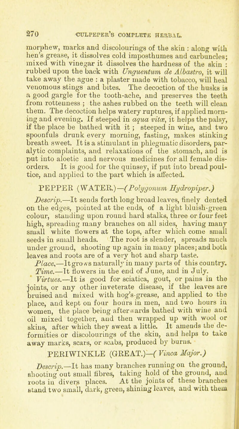 morphew, marks and discolouriuga of the skin : along wiLli hen's grease, it dissolves cold imposthumes and carbuncles; mixed with vinegar it dissolves the hardness of the skin : rubbed upon the back with Unguentum de Albastro, it will take away the ague : a plaster made with tobacco, will heal venomous stings and bites. The decoction of the husks is a good gargle for tlie tooth-ache, and preserves the teeth from rottenness ; the ashes rubbed on the teeth will clean them. The decoction helps watery ruptures, if applied morn- ing and evening. If steeped in aqua vitce, it helps the palsy, if the place be bathed with it; steeped in wine, and two spoonfuls drunk every morning, fasting, makes stinking breath sweet. It is a stimulant in phlegmatic disorders, par- alytic complaints, and relaxations of the stomach, and is put into aloetic and nervous medicines for all female dis- orders. It is good for the quinsey, if put into bread poul- tice, and applied to the part which is atfected. PEPPER {WKT^B.)—(Polygonum Hydropiper.) Descrip.—It sends forth long broad leaves, finely dented on the edges, pointed at the ends, of a light bluish-green colour, standing upon round hard stalks, three or four feet high, spreading many branches on all sides, having many small white tiowers at the lops, after which come small seeds in small heads. The root is slender, spreads much under ground, shooting up again in many places; and both leaves and roots are of a very hot and sharp taste. P/ace,—Itgro a s naturally in many parts of this country. Time.—It tiowers in the end of June, and in July. Virtues.—It is good for sciatica, gout, or pains in the joints, or any other inveterate disease, if the leaves are bruised and mixed with hog's-grease, and applied to the place, and kept on four hours in men, and two hours in women, the place beiug afterAards bathed with wine and oil mixed together, and then wrapped up with wool or skins, after which they sweat a little. It amends the de- formities or discolourings of the skin, and helps to take away marks, scars, or scabs, produced by burns. PERIWINKLE (GREAT.)—C Vinca Major.) Descrip.—li has many branches running on the ground, shooting out small libres, taking hold of the ground, and roots in divers places. At the joints of these branches Btaud two small, dark, green, shining leaves, and with them