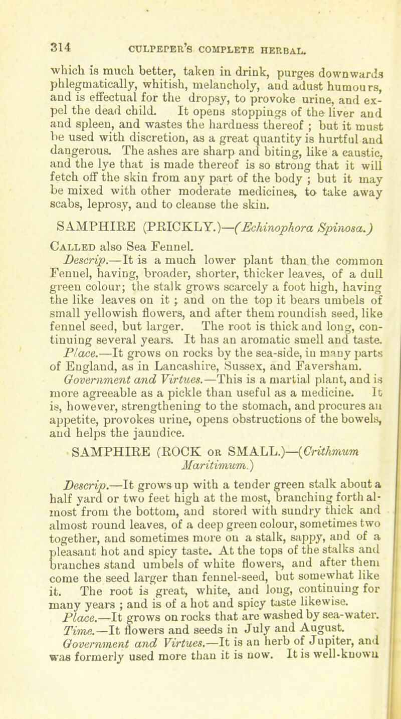 which is much better, taken in drink, purges downwards phlegmatically, whitish, melancholy, and adust humours, and is effectual for the dropsy, to provoke urine, and ex- pel the dead child. It opens stoppings of the liver and and spleen, and wastes the hardness thereof ; but it must )>e used with discretion, as a great quantity is hurtful and dangerous. The ashes are sharp and biting, like a caustic, and the lye that is made thereof is so strong that it will fetch off the skin from any part of the body ; but it may be mixed with other moderate medicines, to take away scabs, leprosy, and to cleanse the skin. SAMPHIRE {Vm.GKLY.)—(Echinophora Spinosa.) Called also Sea Fennel. Descrip.—It is a much lower plant than the common Fennel, having, broader, shorter, thicker leaves, of a dull green colour; the stalk grows scarcely a foot high, having the like leaves on it ; and on the top it beai's umbels of small yellowish flowers, and after them roundish seed, like fennel seed, but larger. The root is thick and long, con- tinuing sevei-al years. It has an aromatic smell and taste. Place.—It grows on rocks by the sea-side, in mnuy parts of England, as in Lancashire, Sussex, and Faversham. Government and Virtues.—This is a martial plant, and is more agreeable as a pickle than useful as a medicine. It is, however, strengthening to the stomach, and procures au appetite, provokes urine, opens obstructions of the bowels, and helps the jaundice. SAMPHIRE (EOCK or SMALL.)—{Critkmum Maritimum.) Descrip.—It grows up with a tender green stalk about a half yard or two feet high at the most, branching fortli al- most'from the bottom, and stored with sundry thick and almost round leaves, of a deep green colour, sometimes two together, and sometimes more on a stalk, sappy, and of a pleasant hot and spicy taste. At the tops of the stalks and branches stand umbels of white flowers, and after them come the seed larger than fennel-seed, but somewhat like it. The root is' great, white, and long, continuing for many years ; and is of a hot and spicy taste likewise. Place.—It grows on rocks that arc washed by sea-water. Time.—It flowers and seeds in July and August. Government and Virtues.—It is an herb of Jupiter, and was formerly used more than it is now. It is well-kuowu