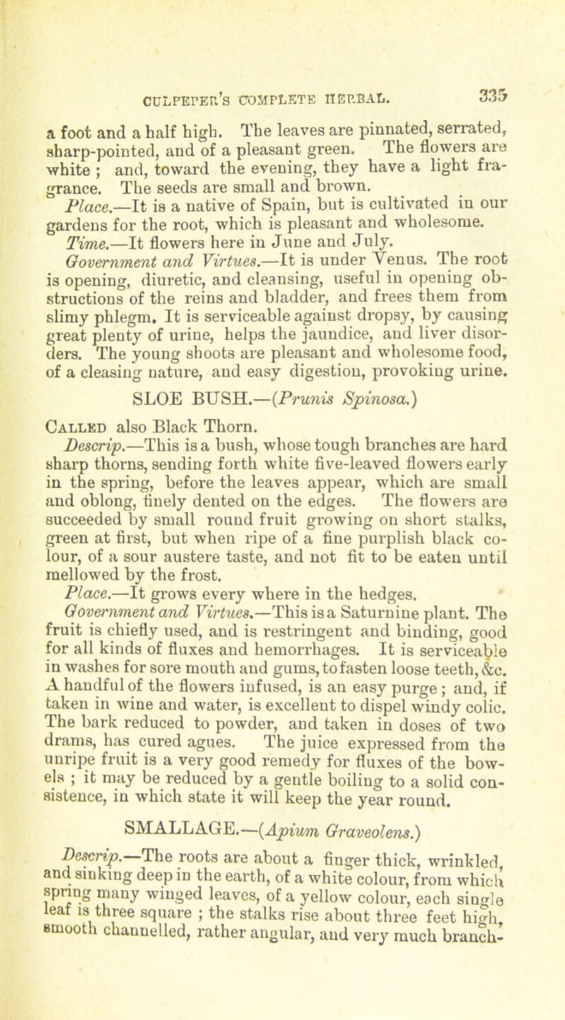 a foot and a half high. The leaves are pinnated, serrated, sharp-pointed, and of a pleasant green. The flowers are white ; and, toward the evening, they have a light fra- grance. The seeds are small and brown. Place.—It is a native of Spain, but is cultivated in our gardens for the root, which is pleasant and wholesome. Time.—It flowers here in June and July. Government and Virtues.—It is under Yenus. The root is opening, diuretic, and cleansing, useful in opening ob- structions of the reins and bladder, and frees them from slimy phlegm. It is serviceable against dropsy, by causing great plenty of urine, helps the jaundice, and liver disor- ders. The young shoots are pleasant and wholesome food, of a cleasing nature, and easy digestion, provoking urine. SLOE BUSH.—(PrMms Spinosa.) Callmd also Black Thorn. Descrip.—This is a bush, whose tough branches are hard sharp thorns, sending forth white five-leaved flowers early in the spring, before the leaves appear, which are small and oblong, finely dented on the edges. The flowers are succeeded by small round fruit growing on short stalks, green at first, but when ripe of a fine purplish black co- lour, of a sour austere taste, and not fit to be eaten until mellowed by the frost. Place.—It grows every where in the hedges. Government and Virtues.—This is a Saturnine plant. The fruit is chiefly used, and is restringent and binding, good for all kinds of fluxes and hemorrhages. It is serviceable in washes for sore mouth and gums, to fasten loose teeth, &c. A handful of the flowers infused, is an easy purge; and, if taken in wine and water, is excellent to dispel windy colic. The bark reduced to powder, and taken in doses of two drams, has cured agues. The juice expressed from the unripe fruit is a very good remedy for fluxes of the bow- els ; it may be reduced by a gentle boiling to a solid con- sistence, in which state it will keep the year round. SMALL AGE,—Graveolens.) Z»escn>.—The roots are about a finger thick, wrinkled and smking deep in the earth, of a white colour, from which spnng many winged leaves, of a yellow colour, each single leat IS three square ; the stalks rise about three feet hi^h smooth channelled, rather angular, and very much branch-