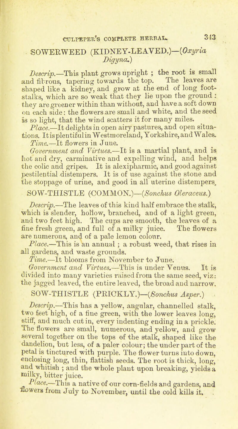 SOWEEWEED (KIDNEY-LEAVED.)— Digyncu) Descrip.—This plant grows upright ; the root is small and fibrous, taperiug towards the top. The leaves are shaped like a kidney, and grow at the end of long foot- stalks, which are so'weak that they lie upon the ground : they are greener within than without, and have a soft down on each side: the flowersare small and white, and the seed as so light, that the wind scatters it for many miles. Flace.—It delights in open airy pastures, and open situa- tions. It is plentiful in Westmoreland, Yorkshire, and Wales. Time.—It flowers in June. Government and Virtues.—It is a martial plant, and is hot and dry, carminative and expelling wind, and helps the colic and gripes. It is alexipharmic, and good against pestilential distempers. It is of use against the stone and the stoppage of urine, and good in all uterine distempers. SOW-THISTLE (OOMMOK)—(^S'oncAws Oleraceus.) Descrip.—The leaves of this kind half embi-ace the stalk, which is slender, hollow, branched, and of a light green, and two feet high. The cups are smooth, the leaves of a fine fresh green, and full of a milky juice. The flowers are numerous, and of a pale lemon colour. Place.—This is an annual ; a robust weed, that rises in all gardens, and waste grounds. Time.—It blooms from November to June. Government and Virtues.—This is under Venits. It is divided into many varieties raised from the same seed, viz; the jagged leaved, the entire leaved, the broad and narrow. SOW-THISTLE {VBIQ^IjY.)—{Bonchus Asper.) Descrip.—This has a yellow, angular, channelled stalk, two feet high, of a fine green, with the lower leaves long, stifi', and much cut in, every indenting ending in a prickle. The flowers are small, numerous, and yellow, and grow several together on the tops of the stalk, shaped like the dandelion, but less, of a paler colour; the under part of the petal is tinctured with purple. The flower turns into down, enclosing long, thin, flattish seeds. The root is thick, long, and whitish ; and the whole plant upon breaking, yields a milky, bitter juice. Place.—This a native of our corn-fields and gardens, and Sowers from July to November, until the cold kills it. .