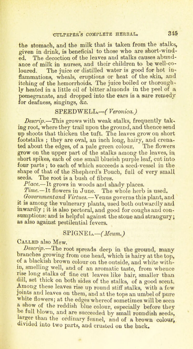 the stomach, and the milk that is taken from the stalks, given in drink, is beneficial to those who are short-wind- ed. The decoction of the leaves and stalks causes abund- ance of milk in nurses, and their children to be well-co- loured. The juice or distilled water is good for hot in- flammations, wheals, eruptions or heat of the skin, and itching of the hemorrhoids. The juice boiled or thorough- ly heated iu a little oil of bitter almonds in the peel of n pomegranate, and dropped into the ears is a sure remedy for deafness, singings, &o. SPEEDWELL.—C Veronica.) Descrip.—This grows with weak stalks, frequently tak- ing root, where they trail upon the ground, and thence send up shoots that thicken the tuft. The leaves grow on short footstalks ; they are oval, an inch long, hairy, and crena- ted about the edges, of a pale green colour. The flowers grow on the upper part of the stalks among the leaves, ia short spikes, each of one small blueish purple leaf, cut into four parts ; to each of which succeeds a seed-vessel iu the shape of that of the Shepherd's Pouch, full of very small seeds. The root is a bush of fibres. Place.—It grows in woods and shady places. Time.—It flowers in June. The whole herb is used. Oovernmentand Virtues.—Venus governs this plant, and it is among the vulnerary plants, used both outwardly and inwardly ; it is also pectoral, and good for coughs and con- sumptions: and is helpful against the stone and strangury; as also against pestilential fevers. SPIGNEL.—('J/etfOT.; Called also Mew. Descrip.—root spreads deep in the ground, many branches growing from one head, which is hairy at the top, of a blackish brown colour on the outside, and white with- m, smelling well, and of an aromatic taste, from wheuce rise long stalks of tine cut leaves like hair, smaller than dill, set thick on both sides of the stalks, of a good scent. Among these leaves rise up round stifi' stalks, with a few joints and leaves on them, and at the tops an umbel of pure white flowers; at the edges whereof sometimes will be seen a show of the reddish blue colour, especially before they be full blown, and are succeeded by small roundish seeds, larger than the ordinary fennel, and of a brown coloui', divided into two parts, and crusted on the back.