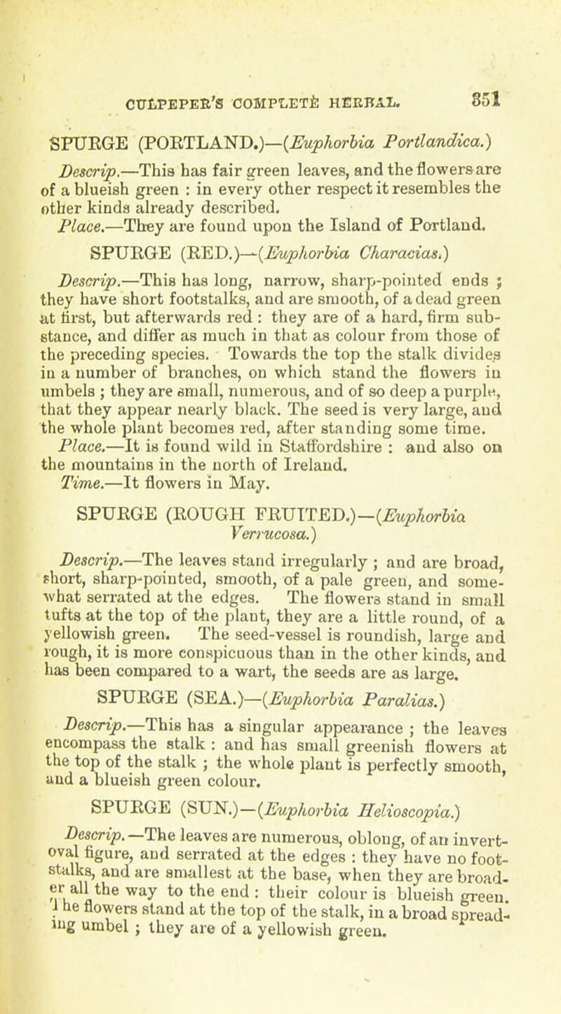 SPUEGE (POB,TLA'ND.)—{jEuphorbia Portlandica.) Descrip.—This has fair green leaves, and the flowers are of a blueish green : in every other respect it resembles the other kinds already described. Place.—Th-ey are found upon the Island of Portland. SPUEGE (EED.)—(^joAorWa Characias.) Descrip.—This has long, narrow, sharp-pointed ends ; they have short footstalks, and are smooth, of a dead green lit first, but afterwards red : they are of a hard, firm sub- stance, and differ as much in that as colour from those of the preceding species. Towards the top the stalk divides iu a number of branches, on which stand the flowers in umbels ; they are small, numerous, and of so deep a purple, that they appear nearly black. The seed is very large, and the whole plant becomes red, after standing some time. Place.—It is found wild iu Staffordshire : and also on the mountains in the north of Ireland. Time.—It flowers in May. SPUEGE (EOUGH YRmTED.)—{Euphorbia Verrucosa.) Descrip.—The leaves stand irregularly ; and are broad, short, sharp'poiuted, smooth, of a pale green, and some- what serrated at the edges. The flowers stand in small tufts at the top of tlie plant, they are a little round, of a yellowish green. The seed-vessel is roundish, large and rough, it is more conspicuous than in the other kinds, and has been compared to a wart, the seeds are as large. SPUEGE {^EK.)—{Euphorbia Paralias.) Descrip.—This has a singular appearance ; the leaves encompass the stalk : and has small greenish flowers at the top of the stalk ; the whole plant is perfectly smooth, aud a blueish green colour. SPUEGE {^V^.)—{Euphorbia Helioscopia) Descrip.—The leaves are numerous, oblong, of an invert- oval figure, aud serrated at the edges : they have no foot- stalks, and are smallest at the base, when they are broad- er all the way to the end : their colour is blueish green i he flowers stand at the top of the stalk, in a broad spread- Hig umbel ; they are of a yellowish green.