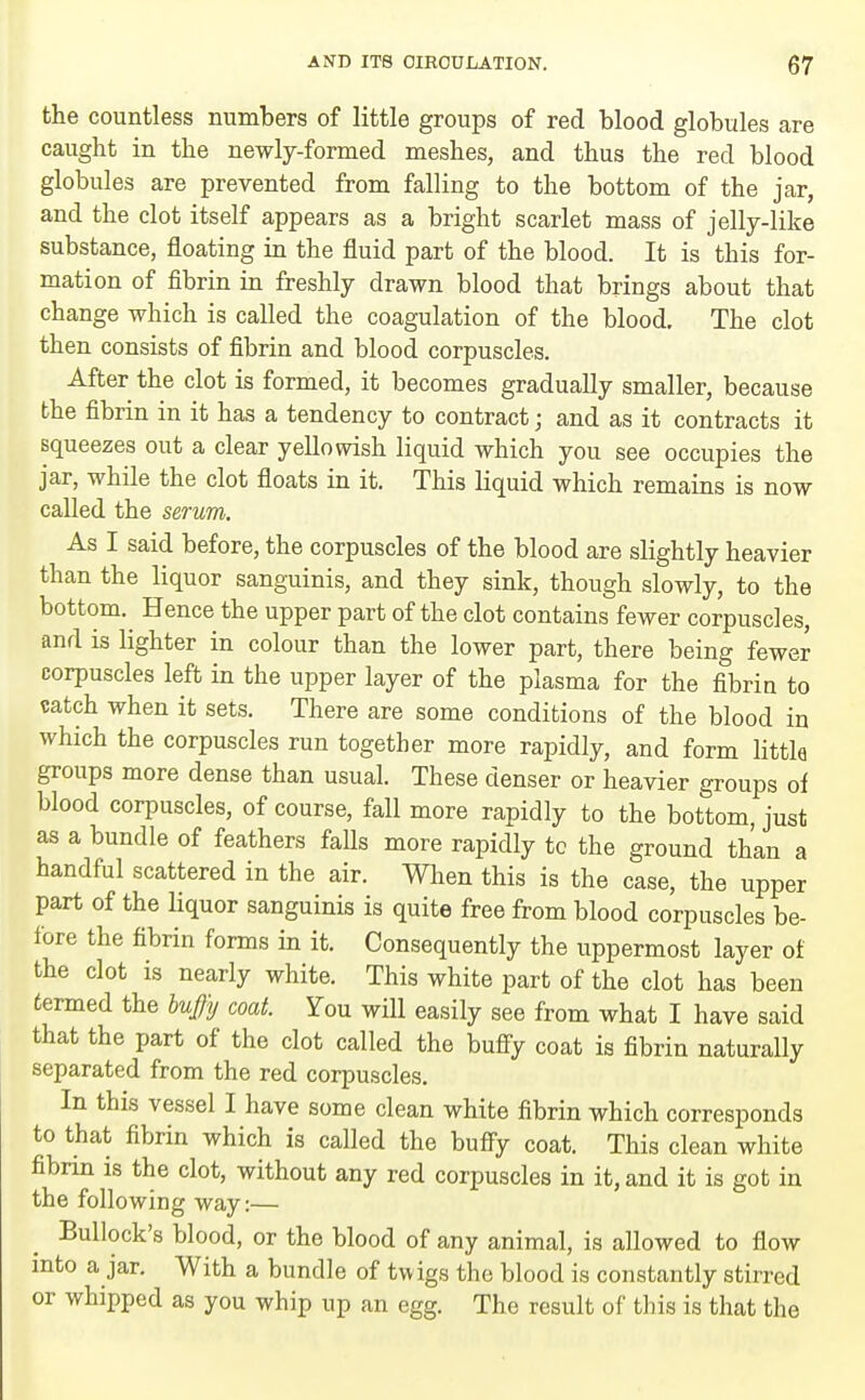 the countless numbers of little groups of red blood globules are caught in the newly-formed meshes, and thus the red blood globules are prevented from falling to the bottom of the jar, and the clot itself appears as a bright scarlet mass of jelly-like substance, floating in the fluid part of the blood. It is this for- mation of fibrin in freshly drawn blood that brings about that change which is called the coagulation of the blood. The clot then consists of fibrin and blood corpuscles. After the clot is formed, it becomes gradually smaller, because the fibrin in it has a tendency to contract; and as it contracts it squeezes out a clear yellowish liquid which you see occupies the jar, while the clot floats in it. This liquid which remains is now called the serum. As I said before, the corpuscles of the blood are slightly heavier than the liquor sanguinis, and they sink, though slowly, to the bottom.^ Hence the upper part of the clot contains fewer corpuscles, and is lighter in colour than the lower part, there being fewer corpuscles left in the upper layer of the plasma for the fibrin to catch when it sets. There are some conditions of the blood in which the corpuscles run together more rapidly, and form little groups more dense than usual. These denser or heavier groups of blood corpuscles, of course, fall more rapidly to the bottom, just as a bundle of feathers falls more rapidly to the ground than a handful scattered in the air. When this is the case, the upper part of the liquor sanguinis is quite free from blood corpuscles be- fore the fibrin forms in it. Consequently the uppermost layer of the clot is nearly white. This white part of the clot has been termed the buffy coat. You will easily see from what I have said that the part of the clot called the buffy coat is fibrin naturally separated from the red corpuscles. In this vessel I have some clean white fibrin which corresponds to that fibrin which is called the buffy coat. This clean white fibnn IS the clot, without any red corpuscles in it, and it is got in the following way:— Bullock's blood, or the blood of any animal, is allowed to flow mto a jar. With a bundle of twigs the blood is constantly stirred or whipped as you whip up an egg. The result of this is that the