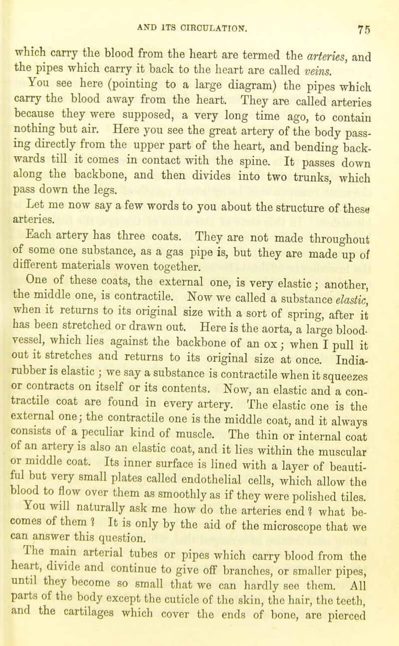 which carry the blood from the heart are termed the arteries, and the pipes -which carry it back to the heart are called veins. You see here (pointing to a large diagram) the pipes which carry the blood away from the heart. They are called arteries because they were supposed, a very long time ago, to contain nothing but air. Here you see the great artery of the body pass- ing directly from the upper part of the heart, and bending back- wards till it comes in contact with the spine. It passes down along the backbone, and then divides into two trunks, which pass down the legs. Let me now say a few words to you about the structure of thesa arteries. Each artery has three coats. They are not made throughout of some one substance, as a gas pipe is, but they are made up of different materials woven together. One of these coats, the external one, is very elastic; another, the middle one, is contractile. Now we called a substance elastic, when it returns to its original size with a sort of spring, after it has been stretched or drawn out. Here is the aorta, a large blood- vessel, which lies against the backbone of an ox; when I pull it out it stretches and returns to its original size at once. India- rubber is elastic ; we say a substance is contractile when it squeezes or contracts on itself or its contents. Now, an elastic and a con- tractile coat are found in every artery. The elastic one is the external one; the contractile one is the middle coat, and it always consists of a peculiar kind of muscle. The thin or internal coat of an artery is also an elastic coat, and it lies within the muscular or middle coat. Its inner surface is lined with a layer of beauti- ful but very small plates called endothelial cells, which allow the blood to flow over them as smoothly as if they were polished tiles. You will naturally ask me how do the arteries end 1 what be- comes of them ? It is only by the aid of the microscope that we can answer this question. The main arterial tubes or pipes which carry blood from the heart, divide and continue to give off branches, or smaller pipes, until they become so small that we can hardly see them. All parts of the body except the cuticle of the skin, the hair, the teeth, and the cartilages which cover the ends of bone, are pierced