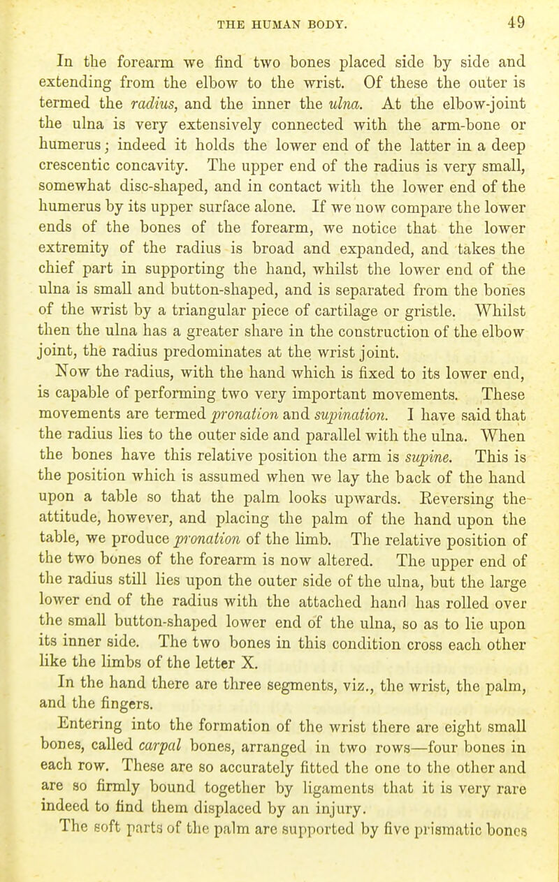 In the forearm we find two bones placed side by side and extending from the elbow to the wrist. Of these the outer is termed the radius, and the inner the ulna. At the elbow-joint the ulna is very extensively connected with the arm-bone or humerus; indeed it holds the lower end of the latter in a deep crescentic concavity. The upper end of the radius is very small, somewhat disc-shaped, and in contact with the lower end of the humerus by its upper surface alone. If we now compare the lower ends of the bones of the forearm, we notice that the lower extremity of the radius is broad and expanded, and takes the chief part in supporting the hand, whilst the lower end of the ulna is small and button-shaped, and is separated from the bones of the wrist by a triangular piece of cartilage or gristle. Whilst then the ulna has a greater shai-e in the construction of the elbow joint, the radius predominates at the wrist joint. Now the radius, with the hand which is fixed to its lower end, is capable of performing two very important movements. These movements are termed pronation and supination. I have said that the radius lies to the outer side and parallel with the ulna. When the bones have this relative position the arm is supine. This is the position which is assumed when we lay the back of the hand upon a table so that the palm looks upwards. Eeversing the attitude, however, and placing the palm of the hand upon the table, we produce pronation of the limb. The relative position of the two bones of the forearm is now altered. The upper end of the radius still lies upon the outer side of the ulna, but the large lower end of the radius with the attached hand has rolled over the small button-shaped lower end of the ulna, so as to lie upon its inner side. The two bones in this condition cross each other like the limbs of the letter X. In the hand there are three segments, viz., the wrist, the palm, and the fingers. Entering into the formation of the wrist there are eight small bones, called carpal bones, arranged in two rows—four bones in each row. These are so accurately fitted the one to the other and are so firmly bound together by ligaments that it is very rare indeed to find them displaced by an injury. The soft parts of the palm are supported by five prismatic bones