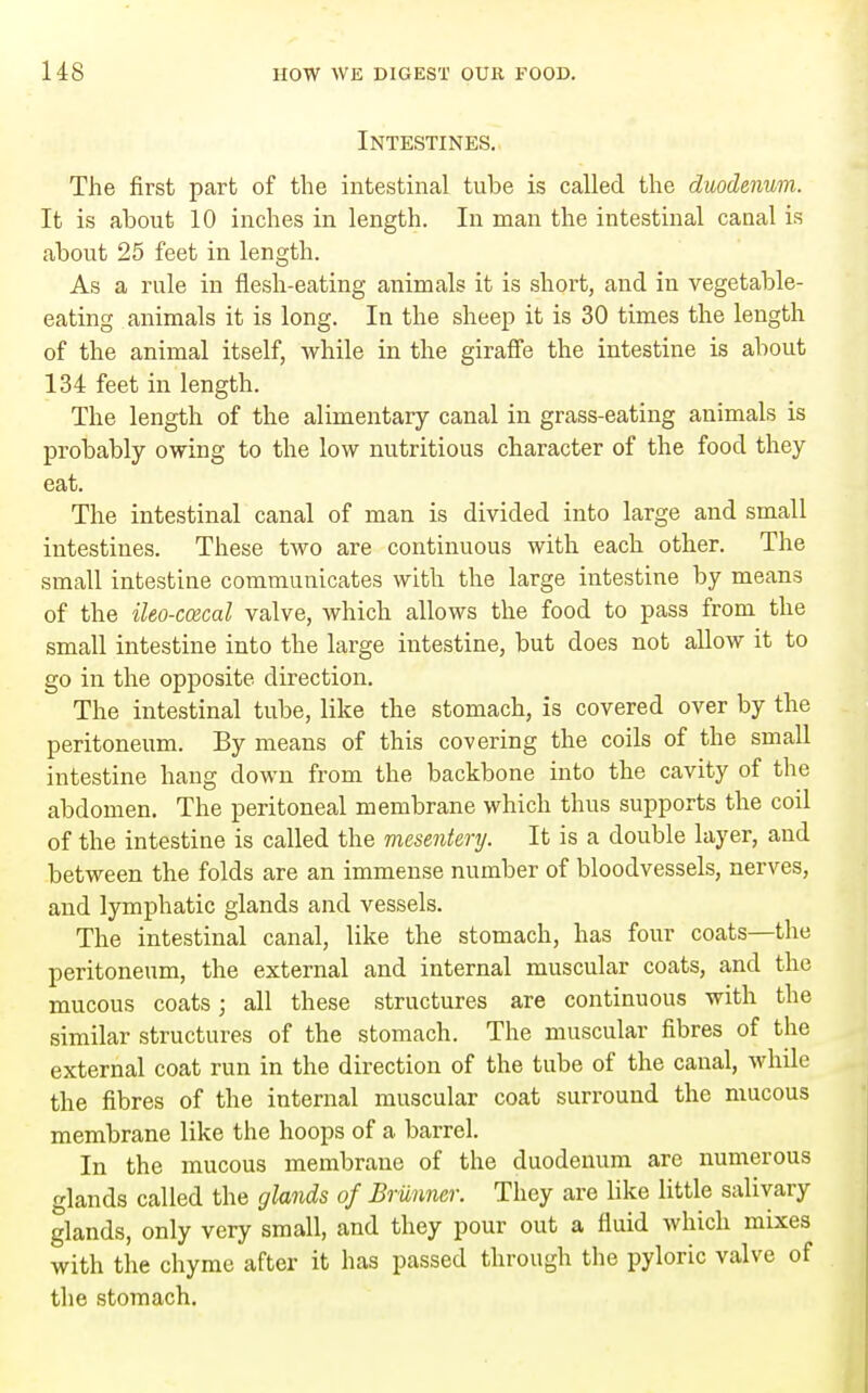 Intestines. The first part of the intestinal tube is called the duodenum. It is about 10 inches in length. In man the intestinal canal is about 25 feet in length. As a rule in flesh-eating animals it is short, and in vegetable- eating animals it is long. In the sheep it is 30 times the length of the animal itself, while in the giraffe the intestine is about 134 feet in length. The length of the alimentary canal in grass-eating animals is probably owing to the low nutritious character of the food they eat. The intestinal canal of man is divided into large and small intestines. These two are continuous with each other. The small intestine communicates with the large intestine by means of the ileo-ccecal valve, which allows the food to pass from the small intestine into the large intestine, but does not allow it to go in the opposite direction. The intestinal tube, like the stomach, is covered over by the peritoneum. By means of this covering the coils of the small intestine hang down from the backbone into the cavity of the abdomen. The peritoneal membrane which thus supports the coil of the intestine is called the mesentery. It is a double layer, and between the folds are an immense number of bloodvessels, nerves, and lymphatic glands and vessels. The intestinal canal, like the stomach, has four coats—the peritoneum, the external and internal muscular coats, and the mucous coats; all these structures are continuous with the similar structures of the stomach. The muscular fibres of the external coat run in the direction of the tube of the canal, whde the fibres of the internal muscular coat surround the mucous membrane like the hoops of a barrel. In the mucous membraiie of the duodenum are numerous glands called the glands of Brunner. They are like little salivary glands, only very small, and they pour out a fluid which mixes with the chyme after it has passed through the pyloric valve of the stomach.