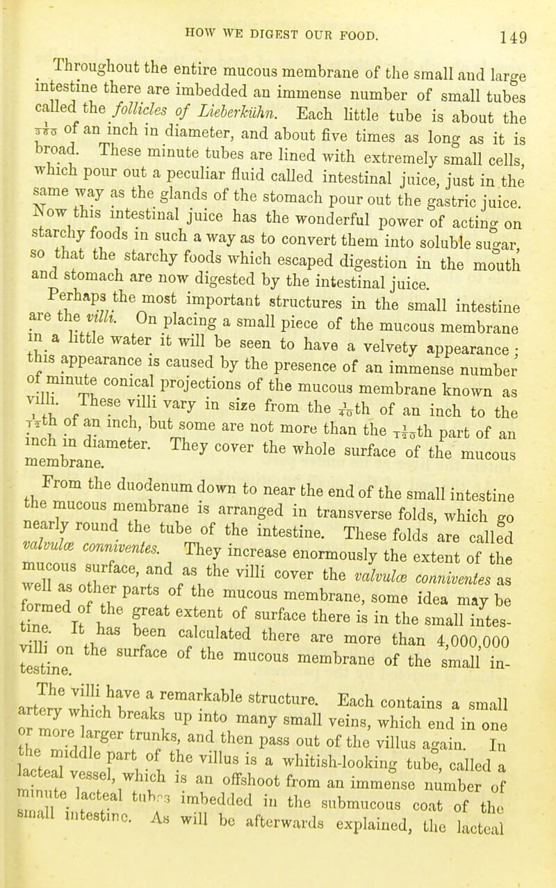 _ Throughout the entire mucous membrane of the small and large mtestme there are imbedded an immense number of small tubes called the follicles of Liehermn. Each little tube is about the 3-^0 of an inch in diameter, and about five times as long as it is broad. These minute tubes are lined with extremely small cells which pour out a peculiar fluid called intestinal juice, just in the same way as the glands of the stomach pour out the gastric juice Now this intestinal juice has the wonderful power of acting on starchy foods in such a way as to convert them into soluble sugar, so that the starchy foods which escaped digestion in the mouth and stomach are now digested by the intestinal juice Perhaps the most important structures in the small intestine are th^ mlh. On placing a small piece of the mucous membrane in a little water it will be seen to have a velvety appearance • this appearance is caused by tbe presence of an immense number of mmiite conical projections of the mucous membrane known as villi. These vil i vary in size from the ,Vth of an inch to the membrane''^  ^^'^^^ From the duodenum down to near the end of the small intestine the mucous membrane is arranged in transverse folds, which go nearly round the tube of the intestine. These folds are called conniventes. They increase enormously the extent of the well a 0 her parts of the mucous membrane, some idea may be formed of the great extent of surface there is in the small fntes- Sine ^'^^^ ^'^^^^^^ °f ^^-11 i^- artl^v wiliV^r V'^''^'^^' Each contains a small artery which breaks up into many small veins, which end in one r more larger trunks, and then pass out of the villus aga n T lacter/vl ^^ ' whitish-looking tub^, called a lacteal vessel, which is an offshoot from an immense number of «e lacteal tub., imbedded in the submucous coat of the ^in.ai intestine. As will bo afterwards explained, the lacteal