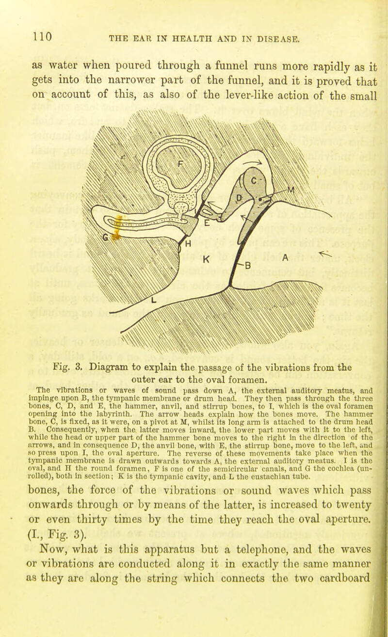 as water when poured through a funnel runs more rapidly as it gets into the narrower part of the funnel, and it is proved that on account of this, as also of the lever-like action of the small Fig. 3. Diagram to explain the passage of the vibrations from the outer ear to the oval foramen. The vibrations or wares of sound pass down A, the external auditory meatus, and impinge upon B, the tympanic membrane or drum head. They then pass through the three bones, C, D, and E, the hummer, anvil, and stirrup bones, to I, which is the oval foramen opening into the labyrinth. The arrow heads explain how the bones move. The hammer bone, C, is fixed, as it were, on a pivot at M, whilst its long arm is attached to the drum head B. Consequently, when the latter moves inward, the lower part moves with it to the left, while the head or upper part of the hammer bone moves to the right in the direction of the arrows, and in consequence D, the anvil bone, with E, the stirrup bone, move to the left, and so press upon I, the oval aperture. The reverse of these movements take place when the tympanic membrane is drawn outwards towards A, the external auditory meatus. I is the oval, and II the round foramen, F is one of the semicircular canals, and G the cochlea (un- rolled), both in section; K is tho tympanic cavity, and L the eustachian tube. bones, the force of the vibrations or sound waves which pass onwards through or by means of the latter, is increased to twenty or even thirty times by the time they reach the oval aperture. (I., Fig. 3). Now, what is this apparatus but a telephone, and the waves or vibrations are conducted along it in exactly the same manner as they are .along the string which connects the two cardboard