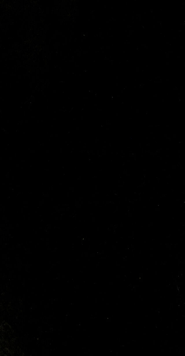 digitised image 2