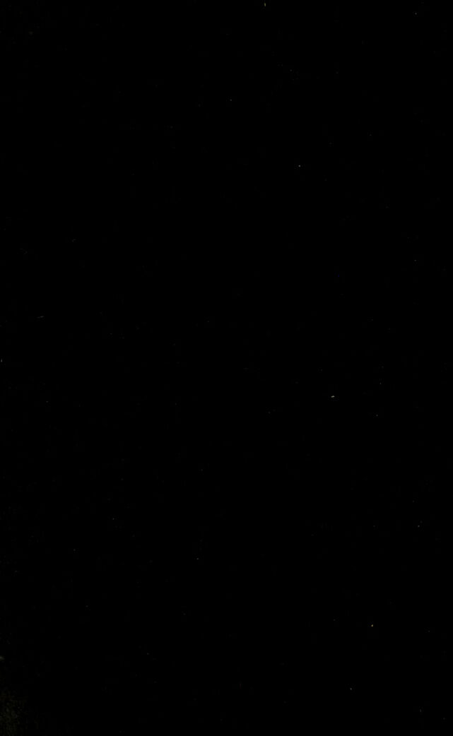 digitised image 2