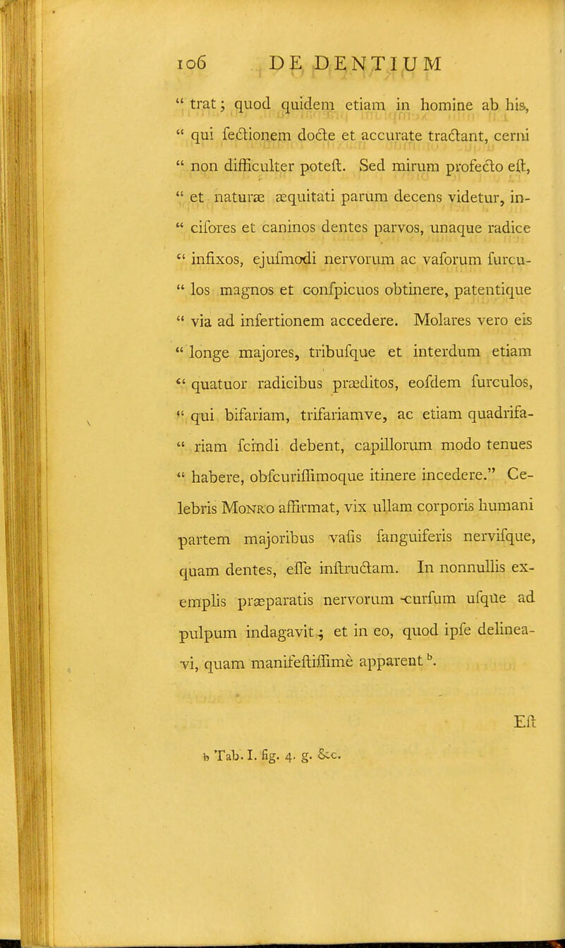  trat; quod quidem etiam in homine ab his,  qui feclionem docle et accurate tra&ant, cerni  non difficulter poteft. Sed mirum profecto eft,  et naturae asquitati parum decens videtur, in-  cifores et caninos dentes parvos, unaque radice  infixos, ejufmodi nervorum ac vaforum furcu-  los magnos et confpicuos obtinere, patentique  via ad infertionem accedere. Molares vero eis  longe majores, tribufque et interdum etiam  quatuor radicibus praditos, eofdem furculos,  qui bifariam, trifariamve, ac etiam quadrifa-  riam fcindi debent, capillorum modo tenues  habere, obfcuriffimoque itinere incedere. Ce- lebris Monro affirmat, vix ullam corporis humani partem majoribus vafis fanguiferis nervifque, quam dentes, elTe inftruclam. In nonnullis ex- emplis prseparatis nervorum -curfum ufqUe ad pulpum indagavit-4 et in eo, quod ipfe delinea- vi, quam manifeftiffime apparentb. b Tab. I. fig. 4. g. &c.