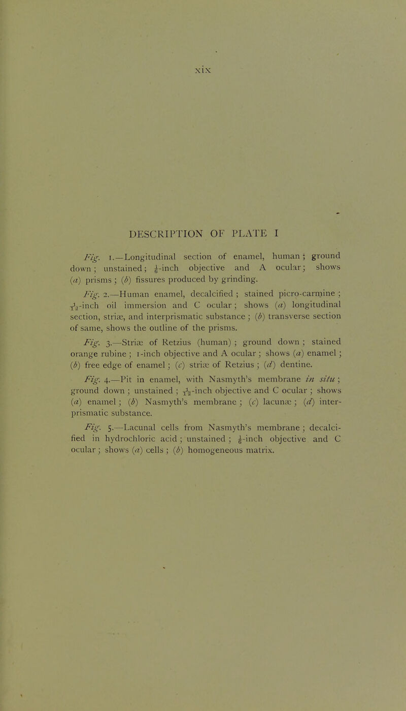 DESCRIPTION OF PLATE I fig, I.—Longitudinal section of enamel, human ; ground down; unstained; ^-inch objective and A ocular; shows {(i) prisms ; {b) fissures produced by grinding. Fig. 3.—Human enamel, decalcified ; stained picro-carmine ; ^.;i-'mch oil immersion and C ocular; shows {a) longitudinal section, striie, and interprismatic substance ; {b) transverse section of same, shows the outline of the prisms. ^'g- 3-—Striae of Retzius (human) ; ground down ; stained orange rubine ; i-inch objective and A ocular; shows {a) enamel; {b) free edge of enamel; (f) stria: of Retzius; {d) dentine. Fig. 4.—Pit in enamel, with Nasmyth's membrane in situ ; ground down ; unstained ; j':2-inch objective and C ocular ; shows {a) enamel ; {b) Nasmyth's membrane ; (t) lacun;c; inter- prismatic substance. Fig. 5.—Lacunal cells from Nasmyth's membrane ; decalci- fied in hydrochloric acid; unstained ; ^-inch objective and C ocular; shows {a) cells ; (b) homogeneous matrix.