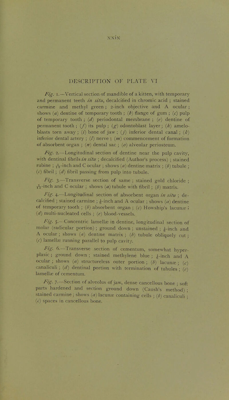 DESCRIPTION OF PLATE \T Fig, I.—Vertical section of mandible of a kitten, with temporary and permanent teeth in siiu, decalcified in chromic acid ; stained carmine and methyl green ; 2-inch objective and A ocular; shows {a) dentine of temporar)' tooth ; {b) flange of gum ; (c) pulp of temporary tooth ; {d) periodontal membrane ; {e) dentine of permanent tooth ; (/) its pulp; (^) odontoblast layer; {h) amelo- blasts torn away ; (/) bone of jaw ; {/) inferior dental canal ; (k) inferior dental artery ; (/) nerve ; {m) commencement of formation of absorbent organ ; (//) dental sac ; {o) alveolar periosteum. Fig. 2.—Longitudinal section of dentine near the pulp cavity, with dentinal fibrils z« j//// ; decalcified (Author's process) ; stained rubine ; fij-inch and C ocular ; shows (a) dentine matrix ; (b) tubule ; (c) fibril; (d) fibril passing from pulp into tubule. ■f^^^- 3-—Transverse section of same ; stained gold chloride ; t^j-inch and C ocular ; shows (a) tubule with fibril ; {/>) matrix. Fig. 4.—Longitudinal section of absorbent organ /// si/u ; de- calcified ; stained carmine ; ^-inch and A ocular ; shows (a) dentine of temporary tooth ; (d) absorbent organ ; (c) Howship's lacunie 5 (d) multi-nucleated cells ; (<?) blood-vessels. Fig. 5.-Concentric lamelhx in dentine, longitudinal section of molar (radicular portion) ; ground down : unstained ; ^-inch and A ocular ; shows {a) dentine matrix ; (/>) tubule obliquely cut ; (f) lamellae running parallel to pulp cavity. Fig. 6.—Transverse section of cementum, somewhat hyper- plasic ; ground down ; stained methylene blue ; ,4-inch and .'\ ocular ; shows (a) structureless outer portion ; {/?) lacunjc; (c) canaliculi ; (d) dentinal portion with termination of tubules ; (c) lamelLe of cementum. ^^A'- 7-—Section of alveolus of jaw, dense cancellous bone ; soft parts hardened and section ground down (Caush's method) ; stained carmine; shows (a) lacunju containing cells ; (/;) canaliculi ; (t) spaces in cancellous bone.