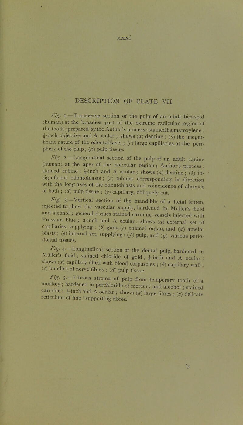 xxxi DESCRIPTION OF PLATE VII Fig. I.—Transverse section of the pulp of an adult bicuspid (human) at the broadest part of the extreme radicular region of the tooth; prepared by the Author's process; stained hsematoxylene ; J-inch objective and A ocular ; shows {a) dentine ; {b) the insigni- ficant nature of the odontoblasts ; {c) large capillaries at the peri- phery of the pulp; id) pulp tissue. Fig. 2.—Longitudinal section of the pulp of an adult canine (human) at the apex of the radicular region ; Author's process • stained rubine ; J-inch and A ocular ; shows {a) dentine; {b) in- significant odontoblasts; (<r) tubules corresponding in direction with the long axes of the odontoblasts and coincidence of absence of both ; {d) pulp tissue ; {e) capillary, obliquely cut. Pig- 3-—Vertical section of the mandible of a foetal kitten, injected to show the vascular supply, hardened in Miiller's fluid and alcohol ; general tissues stained carmine, vessels injected with Prussian blue ; 2-inch and A ocular; shows {a) external set of capillaries, supplying : {b) gum, {c) enamel organ, and {d) amelo- blasts; {e) internal set, supplying: (/) pulp, and {g) various perio- dontal tissues. Fig. 4.—Longitudinal section of the dental pulp, hardened in Muller's fluid; stained chloride of gold; i-inch and A ocular; shows {a) capillary filled with blood corpuscles ; {b) capillary wall • {c) bundles of nerve fibres ; {d) pulp tissue. Fig 5.—P^ibrous stroma of pulp from temporary tooth of a monkey ; hardened in perchloride of mercury and alcohol ; stained carmine ; a i^ch and A ocular ; shows (a) large fibres ; {b) delicate reticulum of fine ' supporting fibres.' b