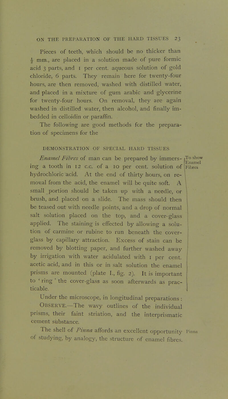 Pieces of teeth, which should be no thicker than i mm., are placed in a solution made of pure formic acid 3 parts, and i per cent, aqueous solution of gold chloride, 6 parts. They remain here for twenty-four hours, are then removed, washed with distilled water, and placed in a mixture of gum arabic and glycerine for twenty-four hours. On removal, they are again washed in distilled water, then alcohol, and finally im- bedded in celloidin or paraffin. The following are good methods for the prepara- tion of specimens for the DEMONSTRATION OF SPECIAL HARD TISSUES Enamel Fibres of man can be prepared by immers- To show Enamel mg a tooth m 12 c.c. of a 10 per cent, solution of Fibres hydrochloric acid. At the end of thirty hours, on re- i moval from the acid, the enamel will be quite soft. A 1 small portion should be taken up with a needle, or brush, and placed on a slide. The mass should then be teased out with needle points, and a drop of normal salt solution placed on the top, and a cover-glass applied. The staining is effected by allowing a solu- tion of carmine or rubine to run beneath the cover- glass by capillary attraction. Excess of stain can be removed by blotting paper, and further washed away by irrigation with water acidulated with i per cent, acetic acid, and in this or in salt solution the enamel prisms are mounted (plate I., fig. 2). It is important to • ring ' the cover-glass as soon afterwards as prac- ticable, Under the microscope, in longitudinal preparations : Observe.—The wavy outlines of the individual prisms, their faint striation, and the interprismatic cement substance. The shell of Pinna affords an excellent opportunity Pinna of studying, by analogy, the structure of enamel fibres.