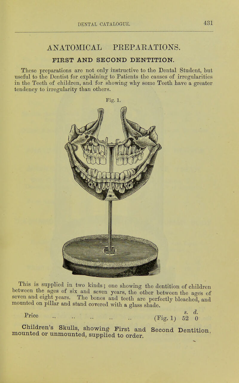 ANATOMICAL PREPARATIONS. FIRST AND SECOND DENTITION. These preparations are not only instructive to the Dental Student, but useful to the Dentist for explaining to Patients the causes of irregularities in the Teeth of children, and for showing why some Teeth have a greater tendency to irregularity than others. Fig. 1. This is supplied in two kinds; one showing the dentition of children between the ages of six and seven years, the other between the ages of seven and eight years. The bones and teeth are perfectly bleached, and mounted on pillar and stand covered with a glass shade. (Fig. 1) 52 0 Children's Skulls, showing First and Second Dentition mounted or unmounted, supplied to order.