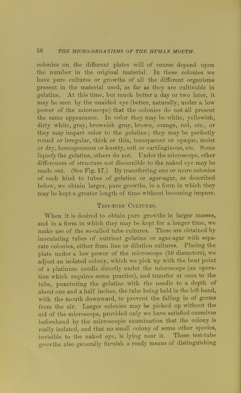 colonies on the different plates will of course depend upon the number in the original material. In these colonies we have pure cultures or growths of all the different organisms present in the material used, as far as they are cultivable in gelatine. At this time, but much better a day or two later, it may be seen by the unaided eye (better, naturally, under a low power of the microscope) that the colonies do not all present the same appearance. In color they may be white, yellowish, dirty white, gray, brownish gray, brown, orange, red, etc., or they may impart color to the gelatine; they maybe perfectly round or irregular, thick or thin, transparent or opaque, moist or dry, homogeneous or knotty, soft or cartilaginous, etc. Some liquefy the gelatine, others do not. Under the microscope, other differences of structure not discernible to the naked eye may be made out. (See Fig. 17.) By transferring one or more colonies of each kind to tubes of gelatine or agar-agar, as described below, we obtain larger, pure growths, in a form in which they may be kept a greater length of time without becoming impure. Test-tube Cultures. When it is desired to obtain pure growths in larger masses, and in a form in which they may be kept for a longer time, we make use of the so-called tube cultures. These are obtained by inoculating tubes of nutrient gelatine or agar-agar with sepa- rate colonies, either from line or dilution cultures. Placing the plate under a low power of the microscope (50 diameters), we adjust an isolated colony, which we pick up with the bent point of a platinum needle directly under the microscope (an opera- tion which requires some practice), and transfer at once to the tube, puncturing the gelatine with the needle to a depth of about one and a half inches, the tube being held in the left hand, with the mouth downward, to prevent the falling in of germs from the air. Larger colonies may be picked up without the aid of the microscope, provided only we have satisfied ourselves beforehand by the microscopic examination that the colony is really isolated, and that no small colony of some other species, invisible to the naked eye, is lying near it. These test-tube growths also generally furnish a ready means of distinguishing
