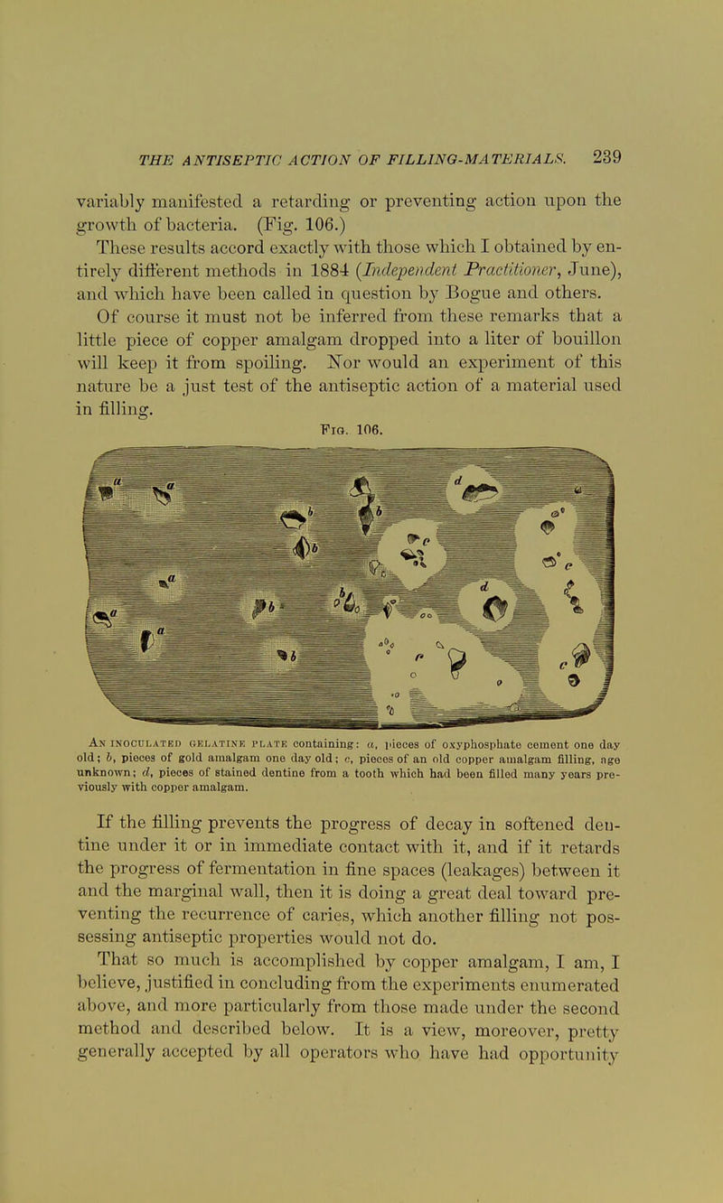 variably manifested a retarding or preventing action upon the growth of bacteria. (Fig. 106.) These results accord exactly with those which I obtained by en- tirely different methods in 1884 (Independent Practitioner, June), and which have been called in question by Bogue and others. Of course it must not be inferred from these remarks that a little piece of copper amalgam dropped into a liter of bouillon will keep it from spoiling. Nor would an experiment of this nature be a just test of the antiseptic action of a material used in filling. Fig. 106. An inoculated gelatine plate containing: a, pieces of oxyphosphate cement one day old; b, pieces of gold amalgam one day old; c, pieces of an old copper amalgam filling, nge unknown; d, pieces of stained dentine from a tooth which had been filled many years pre- viously with copper amalgam. If the filling prevents the progress of decay in softened deu- tine under it or in immediate contact with it, and if it retards the progress of fermentation in fine spaces (leakages) between it and the marginal wall, then it is doing a great deal toward pre- venting the recurrence of caries, which another filling not pos- sessing antiseptic properties would not do. That so much is accomplished by copper amalgam, I am, I believe, justified in concluding from the experiments enumerated above, and more particularly from those made under the second method and described below. It is a view, moreover, pretty generally accepted by all operators who have had opportunity