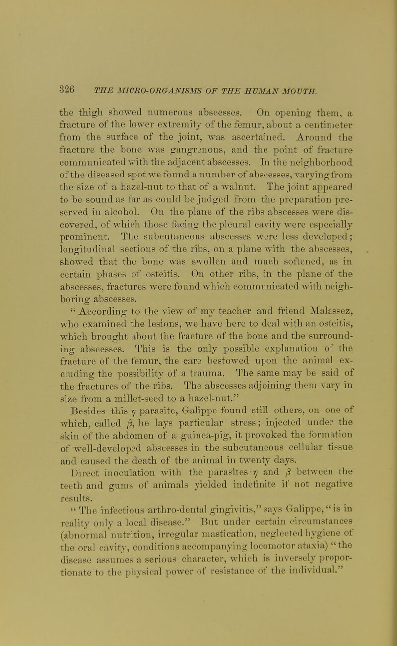 the thigh, showed numerous abscesses. On opening them, a fracture of the lower extremity of the femur, about a centimeter from the surface of the joint, was ascertained. Around the fracture the bone was gangrenous, and the point of fracture communicated with the adjacent abscesses. In the neighborhood of the diseased spot we found a number of abscesses, varyingfrom the size of a hazel-nut to that of a walnut. The joint appeared to be sound as far as could be judged from the preparation pre- served in alcohol. On the plane of the ribs abscesses were dis- covered, of which those facing the pleural cavity were especially prominent. The subcutaneous abscesses were less developed; longitudinal sections of the ribs, on a plane with the abscesses, showed that the bone was swollen and much softened, as in certain phases of osteitis. On other ribs, in the plane of the abscesses, fractures were found which communicated with neigh- boring abscesses.  According to the view of my teacher aud friend Malassez, who examined the lesions, we have here to deal with an osteitis, which brought about the fracture of the bone and the surround- ing abscesses. This is the only possible explanation of the fracture of the femur, the care bestowed upon the animal ex- cluding the possibility of a trauma. The same may be said of the fractures of the ribs. The abscesses adjoining them vary in size from a millet-seed to a hazel-nut. Besides this -q parasite, Galippe found still others, on one of which, called /?, he lays particular stress; injected under the skin of the abdomen of a guinea-pig, it provoked the formation of well-developed abscesses in the subcutaneous cellular tissue and caused the death of the animal in twenty days. Direct inoculation with the parasites q and /3 between the teeth and gums of animals yielded indefinite if not negative results.  The infectious arthro-dental gingivitis, says Galippe,is in reality only a local disease. But under certain circumstances (abnormal nutrition, irregular mastication, neglected hygiene of the oral cavity, conditions accompanying locomotor ataxia) the disease assumes a serious character, which is inversely propor- tionate to the physical power of resistance of the individual.