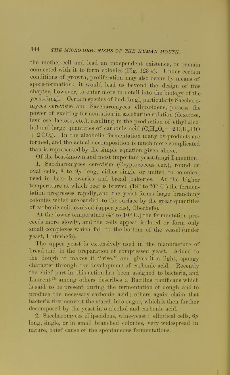 the mother-cell and lead an independent existence, or remain connected with it to form colonies (Fig. 123 a). Under certain conditions of growth, proliferation may also occur by means of spore-formation; it would lead us beyond the design of this chapter, however, to enter more in detail into the biology of the yeast-fungi. Certain species of bud-fungi, particularly Saccharo- myces cerevisise and Saccharomyces ellipsoideus, possess the power of exciting fermentation in saccharine solution (dextrose, levulose, lactose, etc.), resulting in the production of ethyl alco- hol and large quantities of carbonic acid (C6Ii1206 = 2 C2H5,HO + 2 C02). In the alcoholic fermentation many by-products are formed, and the actual decomposition is much more complicated than is represented by the simple equation given above. Of the best-known and most important yeast-fungi I mention : 1. Saccharomyces cerevisise (Cryptococcus cer.), round or oval cells, 8 to 9/j. long, either single or united to colonies; used in beer breweries and bread bakeries. At the higher temperature at which beer is brewed (18° to 20° C.) the fermen- tation progresses rapidly, and the yeast forms large branching- colonies which are carried to the surface by the great quantities of carhonic acid evolved (upper yeast, Oberhefe). At the lower temperature (4° to 10° C.) the fermentation pro- ceeds more slowly, and the cells appear isolated or form only small complexes which fall to the bottom of the vessel (under yeast, Unterhefe). The upper yeast is extensively used in the manufacture of bread and in the preparation of compressed yeast. Added to the clough it makes it  rise, and gives it a light, spongy character through the development of carbonic acid. Recently the chief part in this action has been assigned to bacteria, and Laurent231 among others describes a Bacillus panificans which is -aid to be present during the fermentation of dough and to produce the necessary carbonic acid; others again claim that bacteria first convert the starch into sugar, which is then further decomposed by the yeast into alcohol and carbonic acid. 2. Saccharomyces ellipsoideus, wine-yeast: elliptical cells, 6/t long, single, or in small branched colonies, very widespread in nature, chief cause of the spontaneous fermentations.