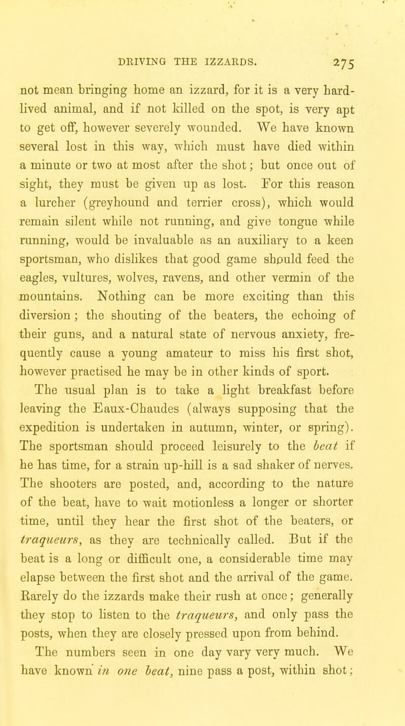 not mean bringing home an izzard, for it is a very hard- lived animal, and if not killed on the spot, is very apt to get off, however severely wounded. We have known several lost in this way, which must have died within a minute or two at most after the shot; but once out of sight, they must be given up as lost. For this reason a lurcher (greyhound and terrier cross), which would remain silent while not running, and give tongue while running, would be invaluable as an auxiliary to a keen sportsman, who dislikes that good game should feed the eagles, vultures, wolves, ravens, and other vermin of the mountains. Nothing can be more exciting than this diversion ; the shouting of the beaters, the echoing of their guns, and a natural state of nervous anxiety, fre- quently cause a young amateur to miss his first shot, however practised he may be in other kinds of sport. The usual plan is to take a light breakfast before leaving the Eaux-Chaudes (always supposing that the expedition is undertaken in autumn, winter, or spring). The sportsman should proceed leisurely to the beat if he has time, for a strain up-hill is a sad shaker of nerves. The shooters are posted, and, according to the nature of the beat, have to wait motionless a longer or shorter time, until they hear the first shot of the beaters, or traqueurs, as they are technically called. But if the beat is a long or difficult one, a considerable time may elapse between the first shot and the arrival of the game. Rarely do the izzards make then. rush at once; generally they stop to listen to the traqueurs, and only pass the posts, when they are closely pressed upon from behind. The numbers seen in one day vary very much. We have known in one beat, nine pass a post, within shot;