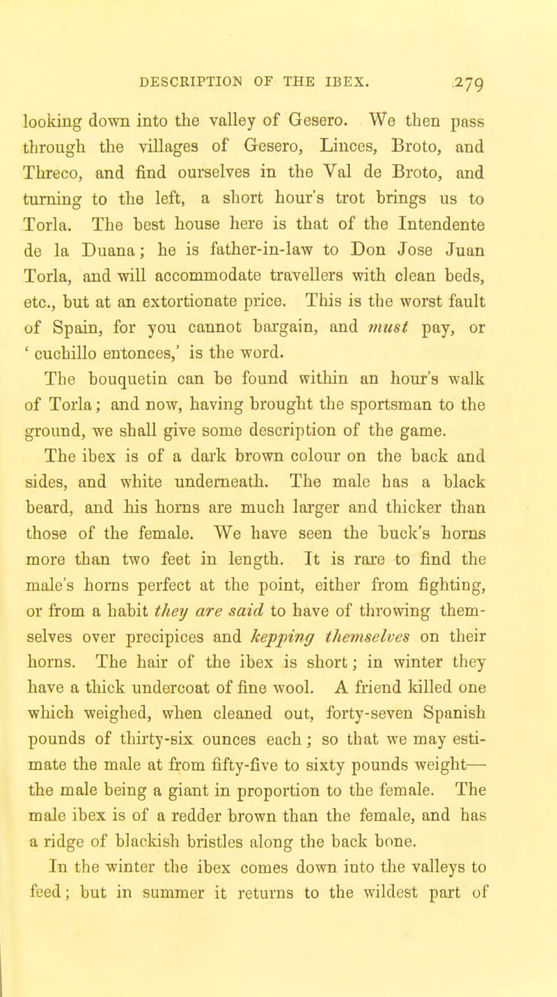 looking down into the valley of Gesero. We then pass through the villages of Gesero, Linces, Broto, and Threco, and find ourselves in the Val de Broto, and turning to the left, a short hour's trot brings us to Torla. The best house here is that of the Intendente de la Duana; he is father-in-law to Don Jose Juan Torla, and will accommodate travellers with clean beds, etc., but at an extortionate price. This is the worst fault of Spain, for you cannot bargain, and must pay, or ' cuchillo entonces,' is the word. The bouquetin can be found within an hour's walk of Torla; and now, having brought the sportsman to the ground, we shall give some description of the game. The ibex is of a dark brown colour on the back and sides, and white underneath. The male has a black beard, and his horns are much larger and thicker than those of the female. We have seen the buck's horns more than two feet in length. It is rare to find the male's horns perfect at the point, either from fighting, or from a habit they are said to have of throwing them- selves over precipices and kepping themselves on their horns. The hair of the ibex is short; in winter they have a thick undercoat of fine wool. A friend killed one which weighed, when cleaned out, forty-seven Spanish pounds of thirty-six ounces each ; so that we may esti- mate the male at from fifty-five to sixty pounds weight— the male being a giant in proportion to the female. The male ibex is of a redder brown than the female, and has a ridge of blackish bristles along the back bone. In the winter the ibex comes down into the valleys to feed; but in summer it returns to the wildest part of
