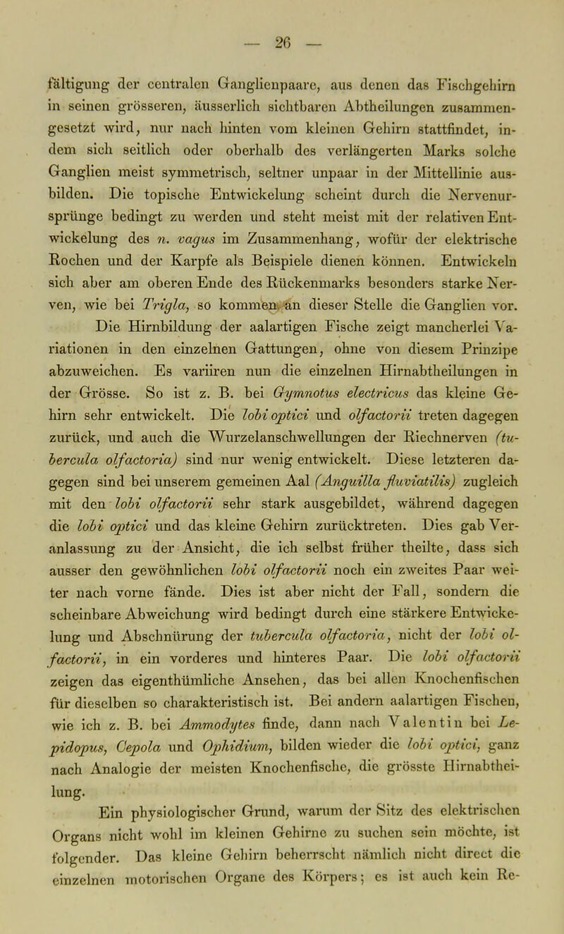 fältigung der centralen Ganglienpaare, aus denen das Fischgehirn in seinen grösseren, äusserlich sichtbaren Abtheilungen zusammen- gesetzt wird, nur nach hinten vom kleinen Gehirn stattfindet, in- dem sich seitlich oder oberhalb des verlängerten Marks solche Ganglien meist symmetrisch, seltner unpaar in der Mittellinie aus- bilden. Die topische Entwicklung scheint durch die Nervenur- sprünge bedingt zu werden und steht meist mit der relativen Ent- wicklung des n. vagus im Zusammenhang, wofür der elektrische Rochen und der Karpfe als Beispiele dienen können. Entwickeln sich aber am oberen Ende des Rückenmarks besonders starke ISNer- ven, wie bei Trigla, so kommenv^än dieser Stelle die Ganglien vor. Die Hirnbildung der aalartigen Fische zeigt mancherlei Va- riationen in den einzelnen Gattungen, ohne von diesem Prinzipe abzuweichen. Es variiren nun die einzelnen Hirnabtheilungen in der Grösse. So ist z. B. bei Gymnotus electricus das kleine Ge- hirn sehr entwickelt. Die lobi optici und olfactorii treten dagegen zurück, und auch die Wurzelanschwellungen der Riechnerven (tu- bercula olfactoria) sind nur wenig entwickelt. Diese letzteren da- gegen sind bei unserem gemeinen Aal (Anguilla fluviatilis) zugleich mit den lobi olfactorii sehr stark ausgebildet, während dagegen die lobi optici und das kleine Gehirn zurücktreten. Dies gab Ver- anlassung zu der Ansicht, die ich selbst früher theilte, dass sich ausser den gewöhnlichen lobi olfactorii noch ein zweites Paar wei- ter nach vorne fände. Dies ist aber nicht der Fall, sondern die scheinbare Abweichung wird bedingt durch eine stärkere Entwicke- lung und Abschnürung der tubercula olfactoria, nicht der lobi ol- factorii, in ein vorderes und hinteres Paar. Die lobi olfactorii zeigen das eigentümliche Ansehen, das bei allen Knochenfischen für dieselben so charakteristisch ist. Bei andern aalartigen Fischen, wie ich z. B. bei Ammodytes finde, dann nach Valentin bei Le- pidopus, Gepola und Ophidium, bilden wieder die lobi optici, ganz nach Analogie der meisten Knochenfische, die grösste Hirnabthei- lung. Ein physiologischer Grund, warum der Sitz des elektrischen Organs nicht wohl im kleinen Gehirne zu suchen sein möchte, ist folgender. Das kleine Gehirn beherrscht nämlich nicht direct die einzelnen motorischen Organe des Körpers; es ist auch kein Re-