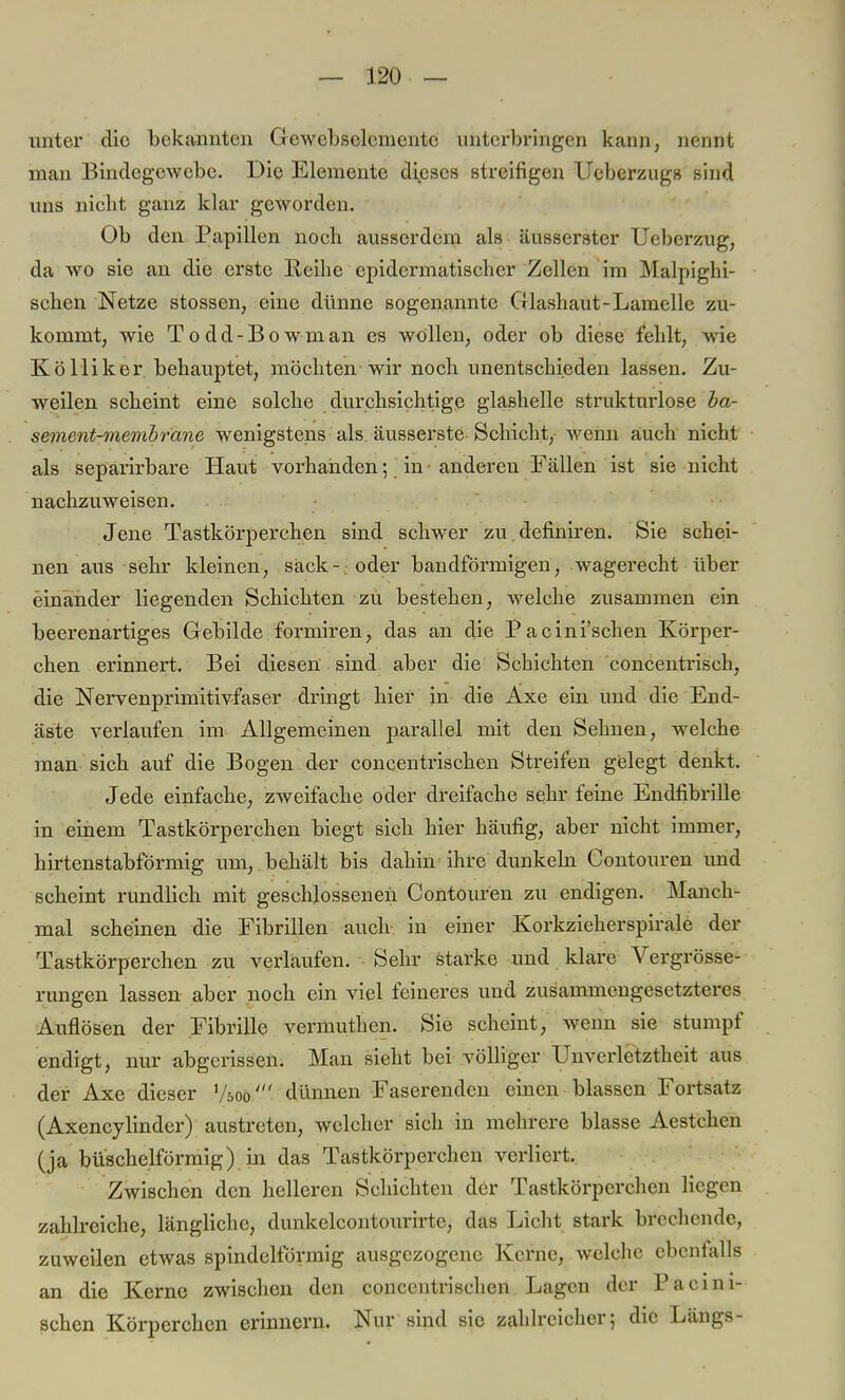 unter die bekannten Gewobselemente unterbringen kann, nennt man Bindegewebe. Die Elemente dieses streifigen Ueberzugs sind uns nicht ganz klar geworden. Ob den Papillen noch ausserdem als äusserster Ueberzug, da wo sie an die erste Reihe epidermatischer Zellen im Malpighi- schen Netze stossen, eine dünne sogenannte Glashaut-Lamelle zu- kommt, wie Todd-Bowman es wollen, oder ob diese fehlt, wie Kö Mi kor behauptet, möchten wir noch unentschieden lassen. Zu- weilen scheint eine solche durchsichtige glashelle strukturlose ba- sement-membrane wenigstens als äusserste Schicht, wenn auch nicht als separirbare Haut vorhanden; in-anderen Fällen ist sie nicht nachzuweisen. Jene Tastkörperchen sind schwer zu definiren. Sie schei- nen aus sehr kleinen, sack- oder bandförmigen, wagerecht über einander liegenden Schichten zu bestehen, welche zusammen ein beerenartiges Gebilde formiren, das an die Pacini'schen Körper- chen erinnert. Bei diesen sind aber die Schichten concentrisch, die Nervenprimitivfaser dringt hier in die Äxe ein und die End- äste verlaufen im Allgemeinen parallel mit den Sehnen, welche man sich auf die Bogen der concentrischen Streifen gelegt denkt. Jede einfache, zweifache oder dreifache sehr feine Endfibrille in einem Tastkörperchen biegt sich hier häufig, aber nicht immer, hirtenstabförmig um, behält bis dahin ihre dunkeln Contouren und scheint rundlich mit geschlossenen Contouren zu endigen. Manch- mal scheinen die Fibrillen auch in einer Korkzieherspirale der Tastkörperchen zu verlaufen. Sehr starke und klare Vergrösse- rnngen lassen aber noch ein viel feineres und zusammengesetzteres Auflösen der Fibrille vermuthen. Sie scheint, wenn sie stumpf endigt, nur abgerissen. Man sieht bei völliger Unverletzthcit aus der Axe dieser 'Aoo' dünnen Faserenden einen blassen Fortsatz (Axencylinder) austreten, welcher sich in mehrere blasse Aestchen (ja büschelförmig) in das Tastkörperchen verliert. Zwischen den helleren Schichten der Tastkörperchen liegen zahlreiche, längliche, dunkelcontourirte, das Licht stark brechende, zuweilen etwas spindelförmig ausgezogene Kerne, welche ebenfalls an die Kerne zwischen den concentrischen Lagen der Paeini- schen Körperehen erinnern. Nur sind sie zahlreicher; die Längs-