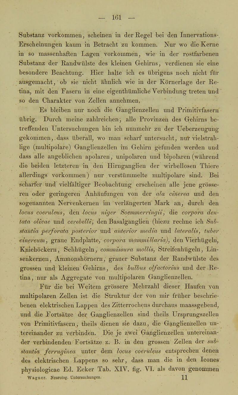 Substanz vorkommen, scheinen in der Regel bei den Innervations- Erscheinungen kaum in Betracht zu kommen. Nur wo die Kerne in so massenhaften Lagen vorkommen, wie in der rostfarbenen Substanz der Randwülste des kleinen Gehirns, verdienen sie eine besondere Beachtung. Hier halte ich es übrigens noch nicht für ausgemacht, ob sie nicht ähnlich wie in der Körnerlage der Re- tina, mit den Fasern in eine eigentümliche Verbindung treten Und so den Charakter von Zellen annehmen. Es bleiben nur noch die Ganglienzellen und Primitivfasern übrig. Durch meine zahlreichen, alle Provinzen des Gehirns be- treffenden Untersuchungen bin ich nunmehr zu der Ueberzeugung gekommen,. dass überall, wo man scharf untersucht, nur vielstrah- lige (multipolare) Ganglienzellen im Gehirn gefunden werden und dass alle angeblichen apolaren, unipolaren und bipolaren (während die beiden letzteren in den Hirnganglien der wirbellosen Thiere allerdings vorkommen) nur verstümmelte multipolare sind. Bei scharfer und vielfältiger Beobachtung erscheinen alle jene grösse- ren oder geringeren Anhäufungen von der ala cinerea und den sogenannten Nervenkernen im verlängerten Mark an, durch den locus coeruleus, den locus niger Soemmerringii, die corpora den- tata olivae und cerebelli, den Basalganglien (hiezu rechne ich Sub- stantia perforata posterior und anterior media und lateralis, tuber cinereuvi, graue Endplatte, corpora mammillaria)', den Vierhügeln, Kniehöckern, Sehhügeln, commissura mollis, Streifenhügeln, Lin- senkernen, Ammonshörnern, grauer Substanz der Randwülste des grossen und kleinen Gehirns, des bulbus olfactorius und der Re- tina , nur als Aggregate von multipolaren Ganglienzellen. Für die bei Weitem grössere Mehrzahl dieser Haufen von multipolaren Zellen ist die Struktur der von mir früher beschrie- benen elektrischen Lappen des Zitterrochens durchaus maassgebend; und die Fortsätze der Ganglienzellen sind theils Ursprungszellen von Primitivfasern, theils dienen sie dazu, die Ganglienzellen un- tereinander zu verbinden. Die je zwei Ganglienzellen untereinan- der verbindenden Fortsätze z. B. in den grossen Zellen der sub- stantia ferruginea unter dem locus coeruleus entsprechen denen des elektrischen Lappens so sehr, dass man die in den Icones physiologicae Ed. Ecker Tab. XIV. fig. VI. als davon genommen Wagner. Neurolog. Untersuchungen. \\